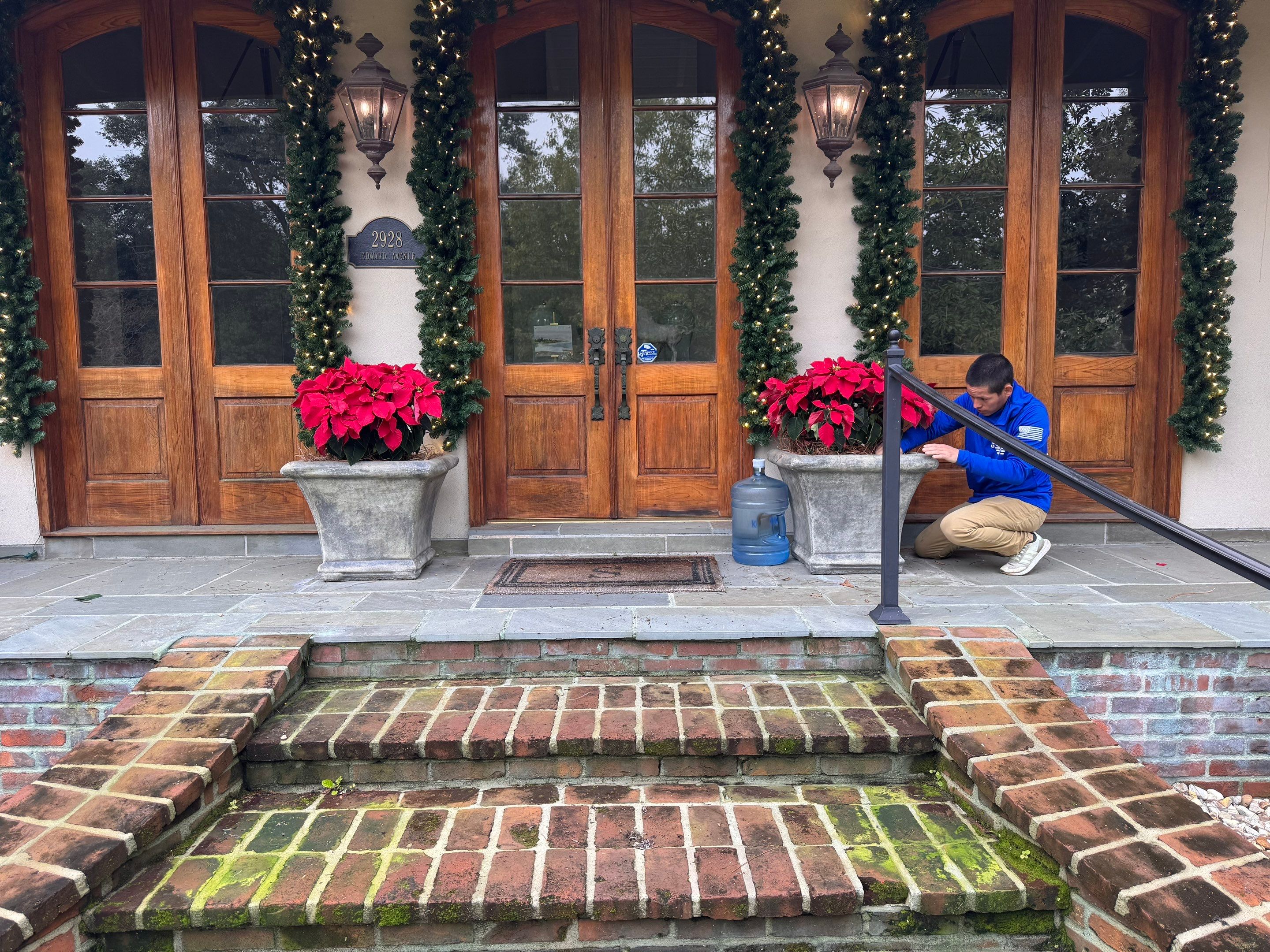 WINTER SERVICES: HOLIDAY LIGHTING using PRE LIT GARLAND & 5MM TREE WRAP STRANDS by CutScape, LLC.