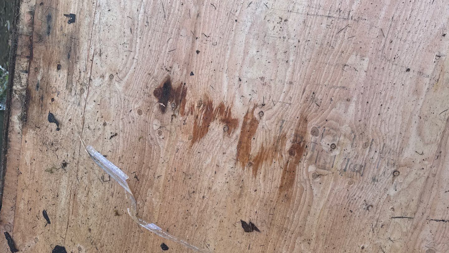 Project in Sammamish by Roofing Formula LLC