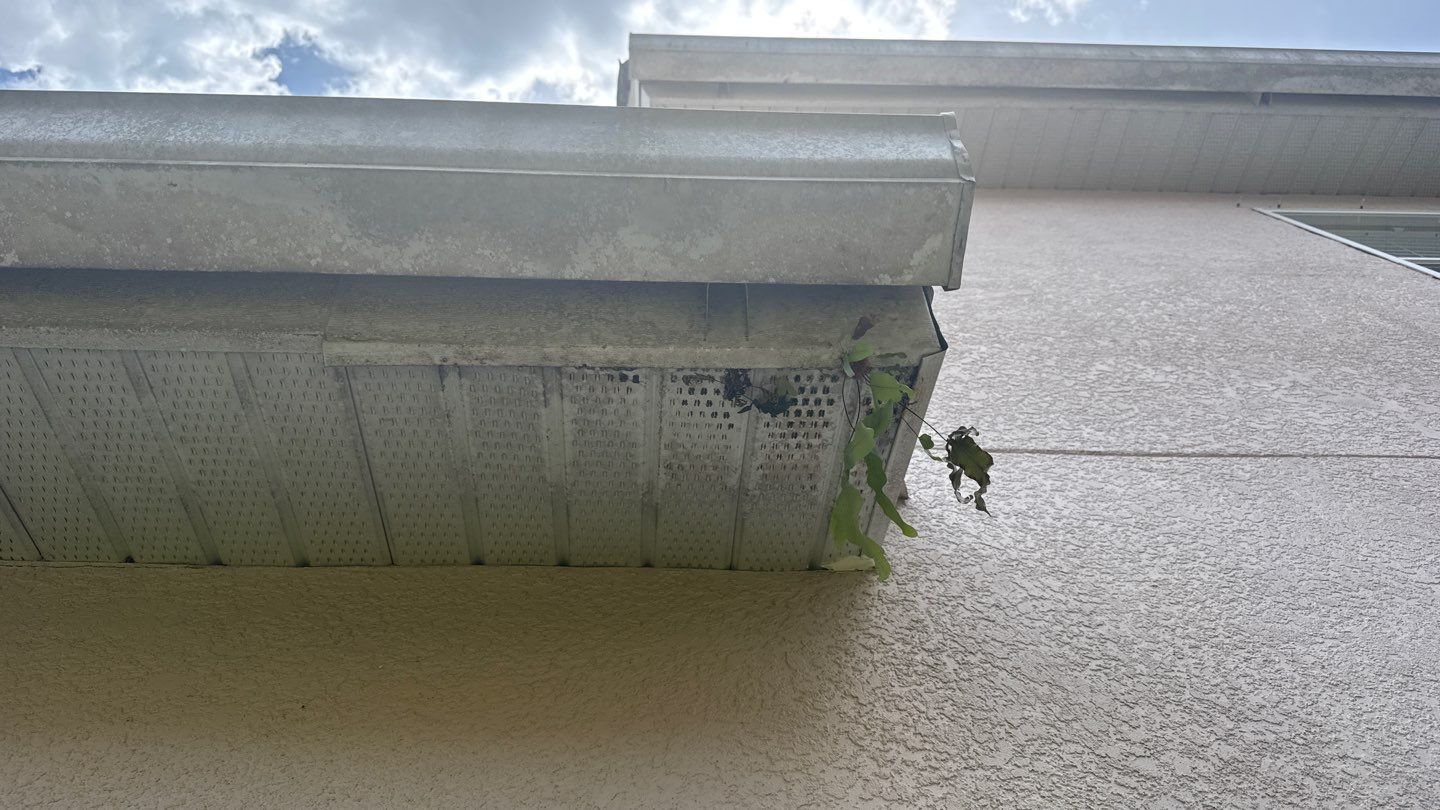 Residential Roofing Repair using Durabull Shingle System by Durabilis Roofing INC