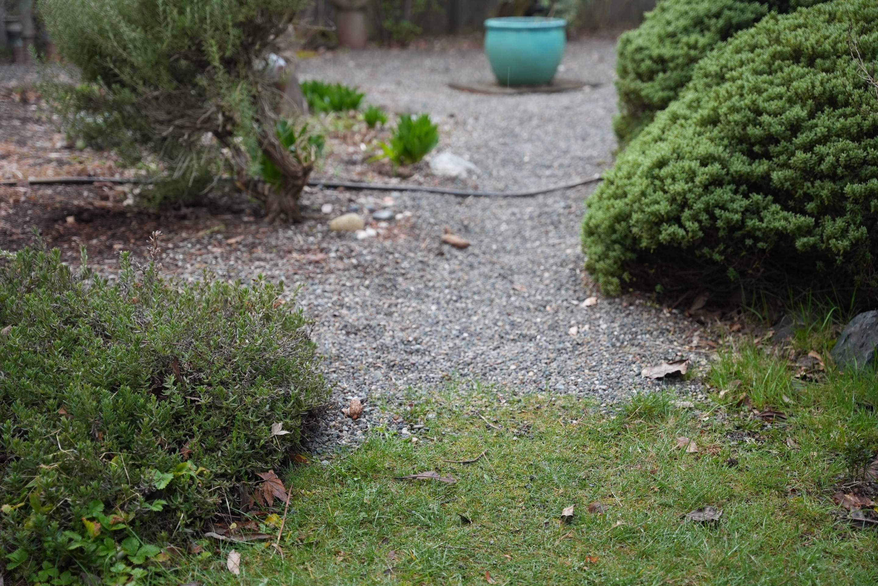 Pavers Driveway & Walkway with Concrete Lip | Seattle  by Jireh Asphalt & Concrete Inc 
