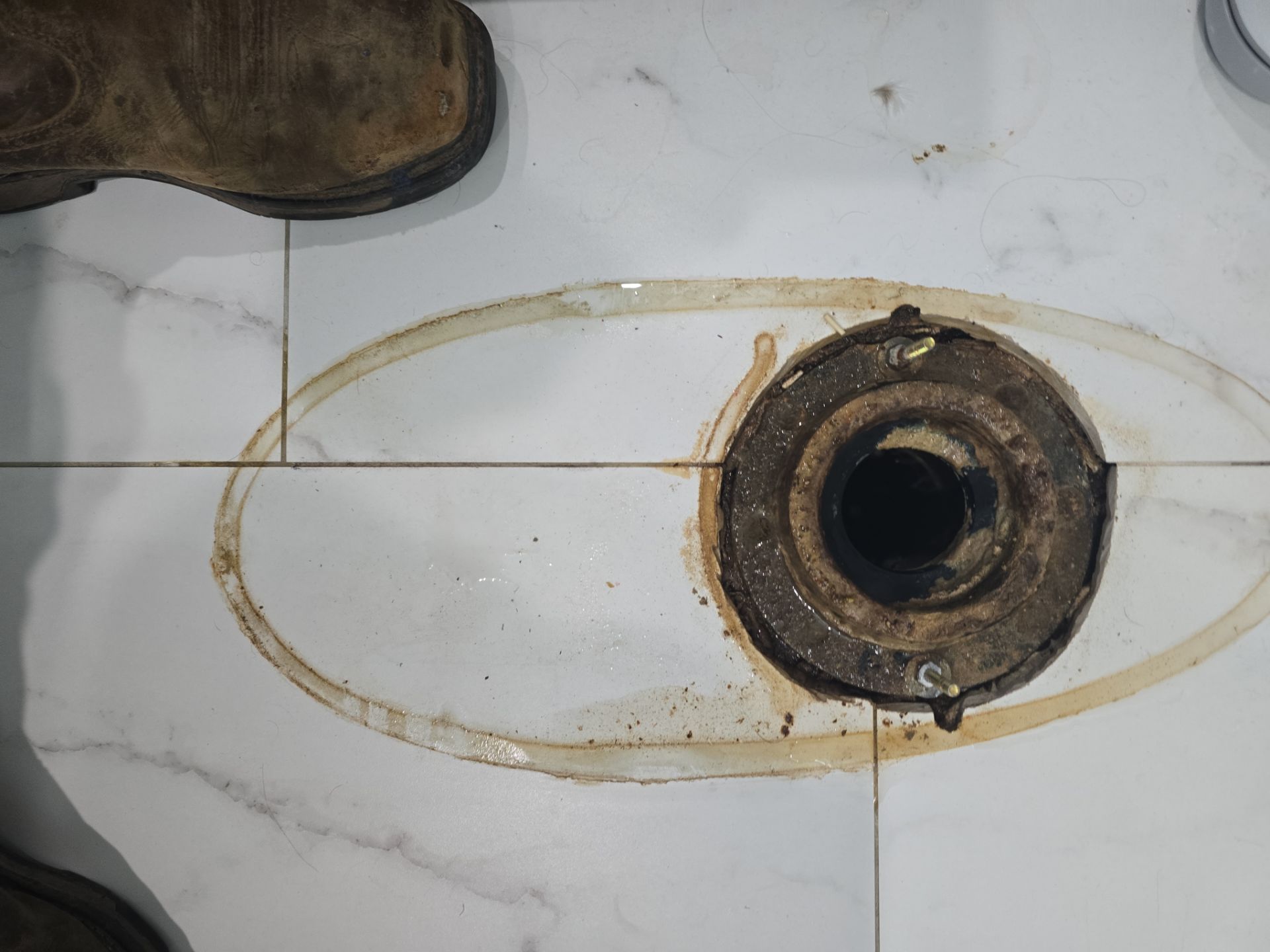 Installing New Toilet, Toilet Seal, and Checking Black Pipes in Ceiling by Us Plumbing