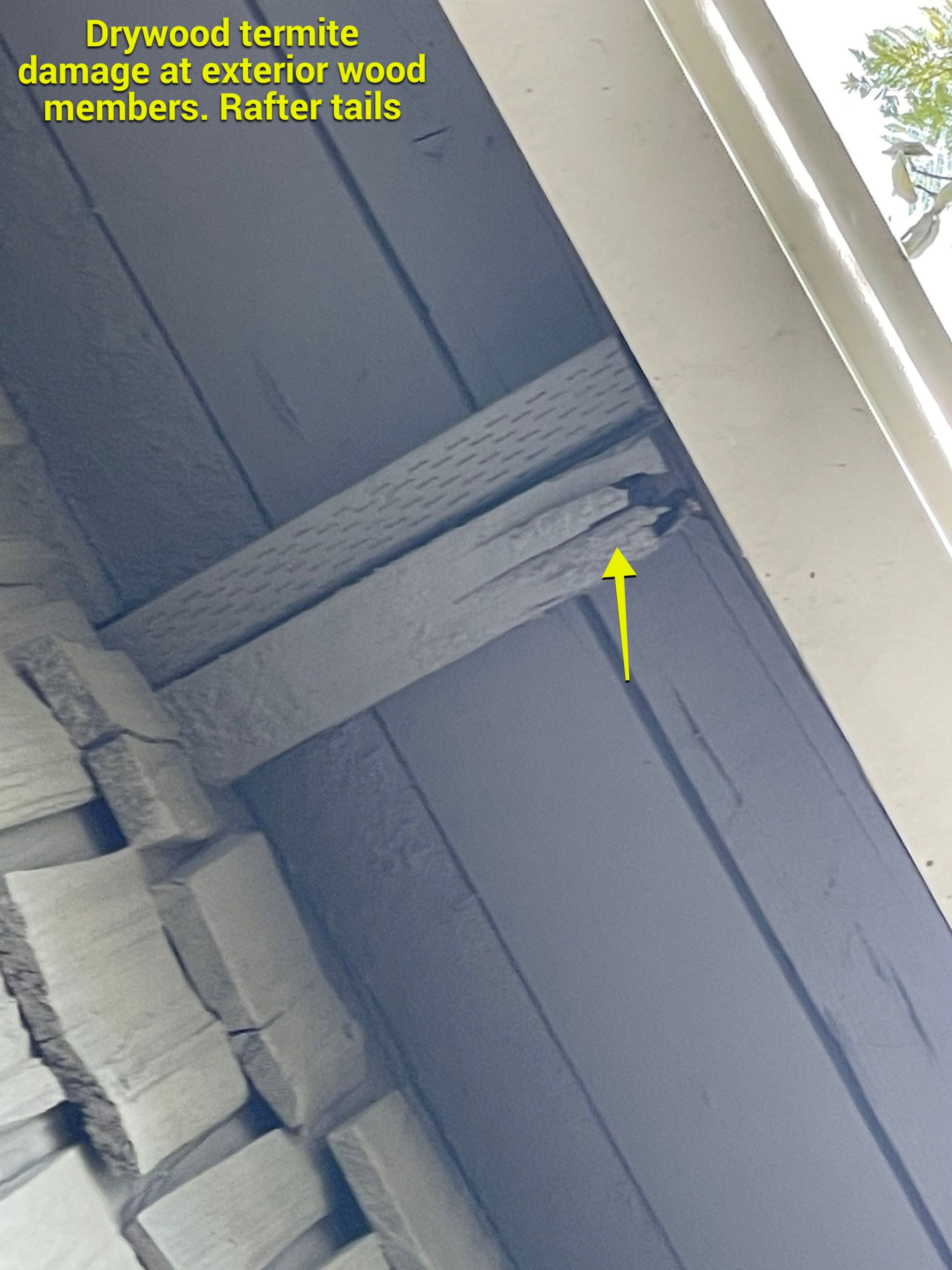 Wood Destroying Organisms Report by GLOBAL Termite Solutions