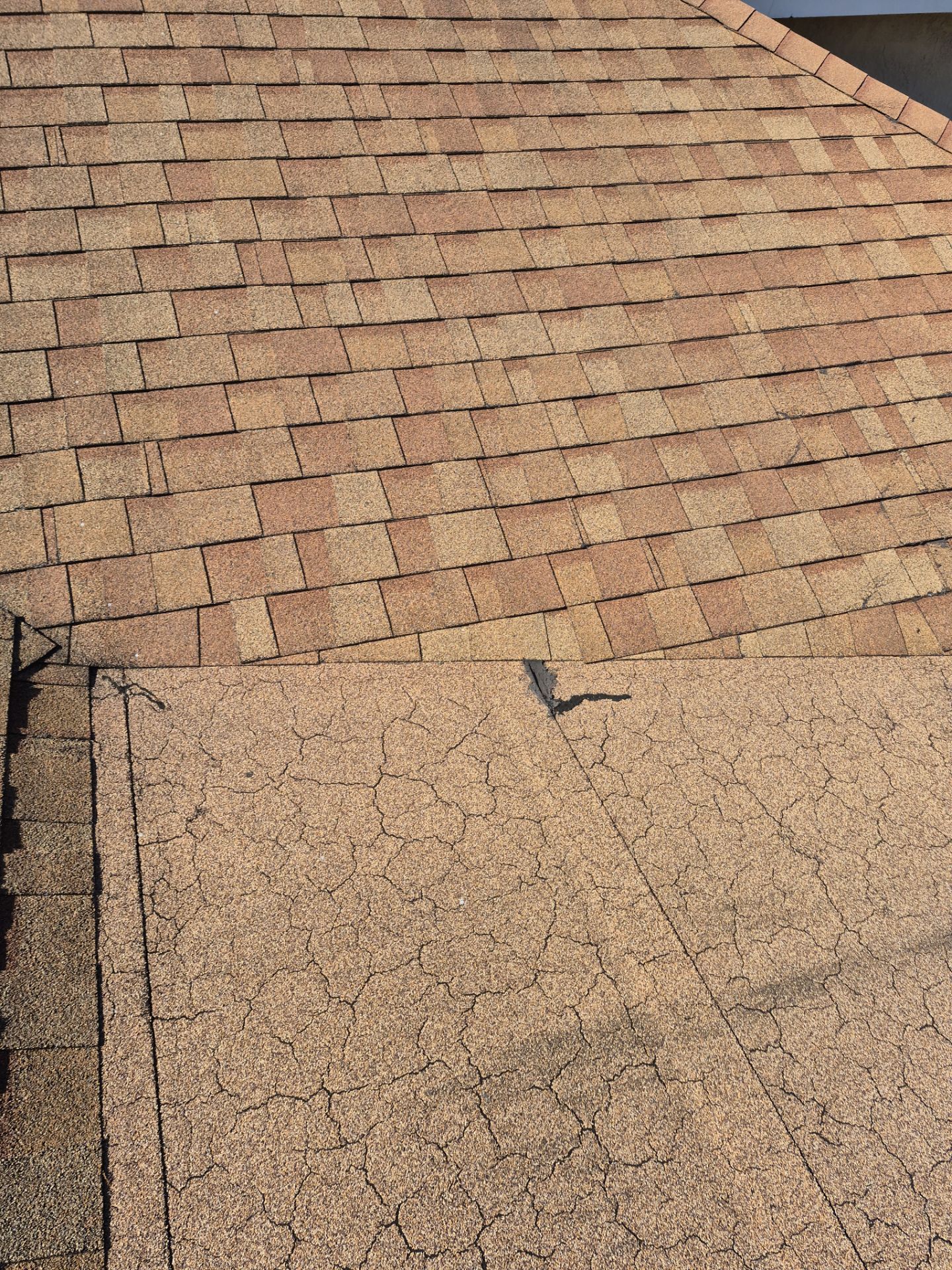Project in Tampa  33626 by Mitchell Roofing Company LLC 