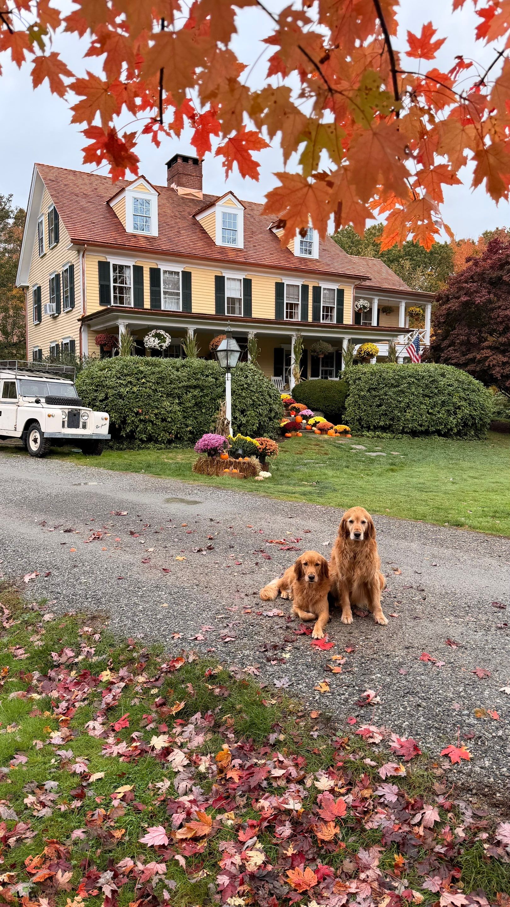 Red Cedar Roofing, Copper Gutters + Dormer Build by Rinaldi Brothers