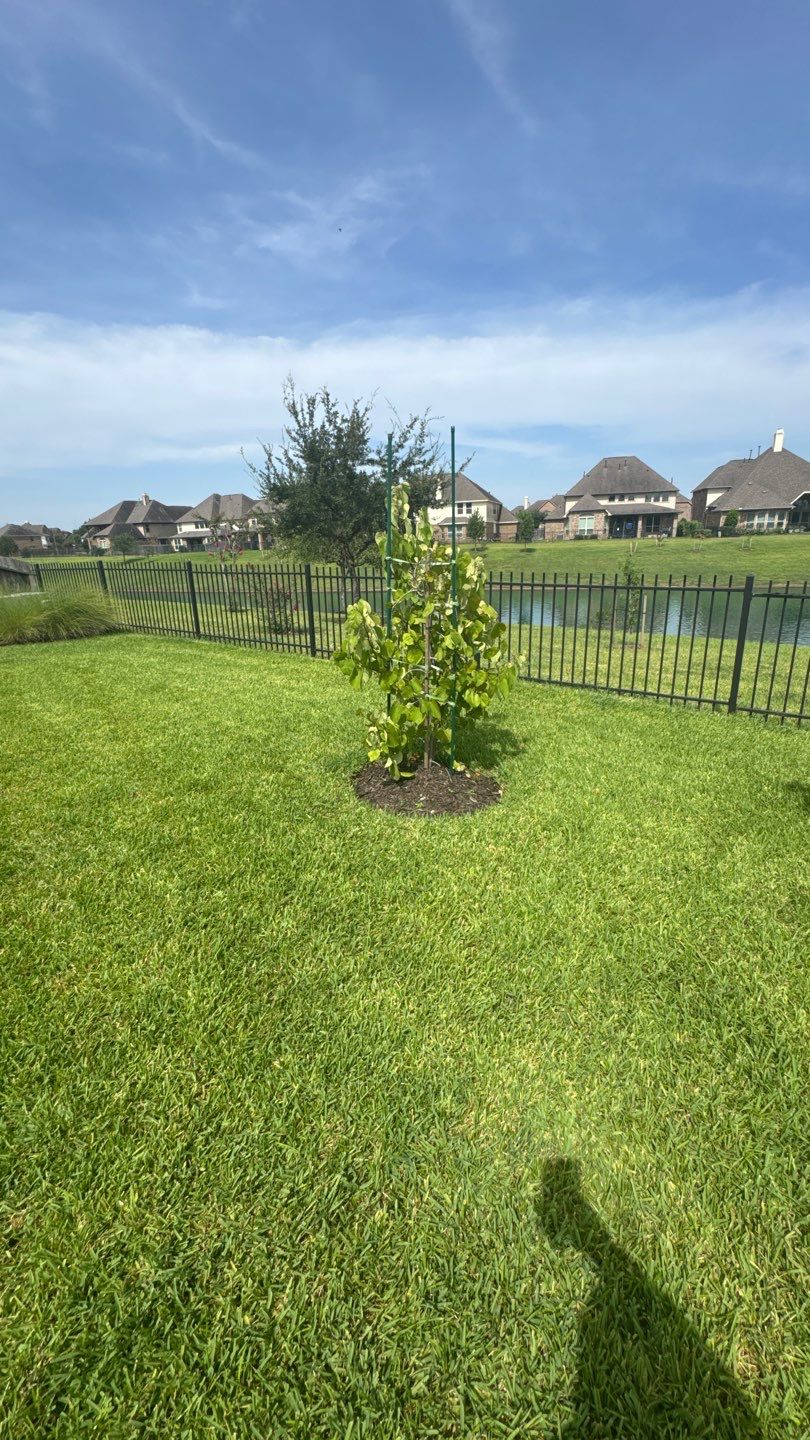 🌿 Mr. Ken’s Front Yard Flower Bed Enhancement by Texas Urban Elements