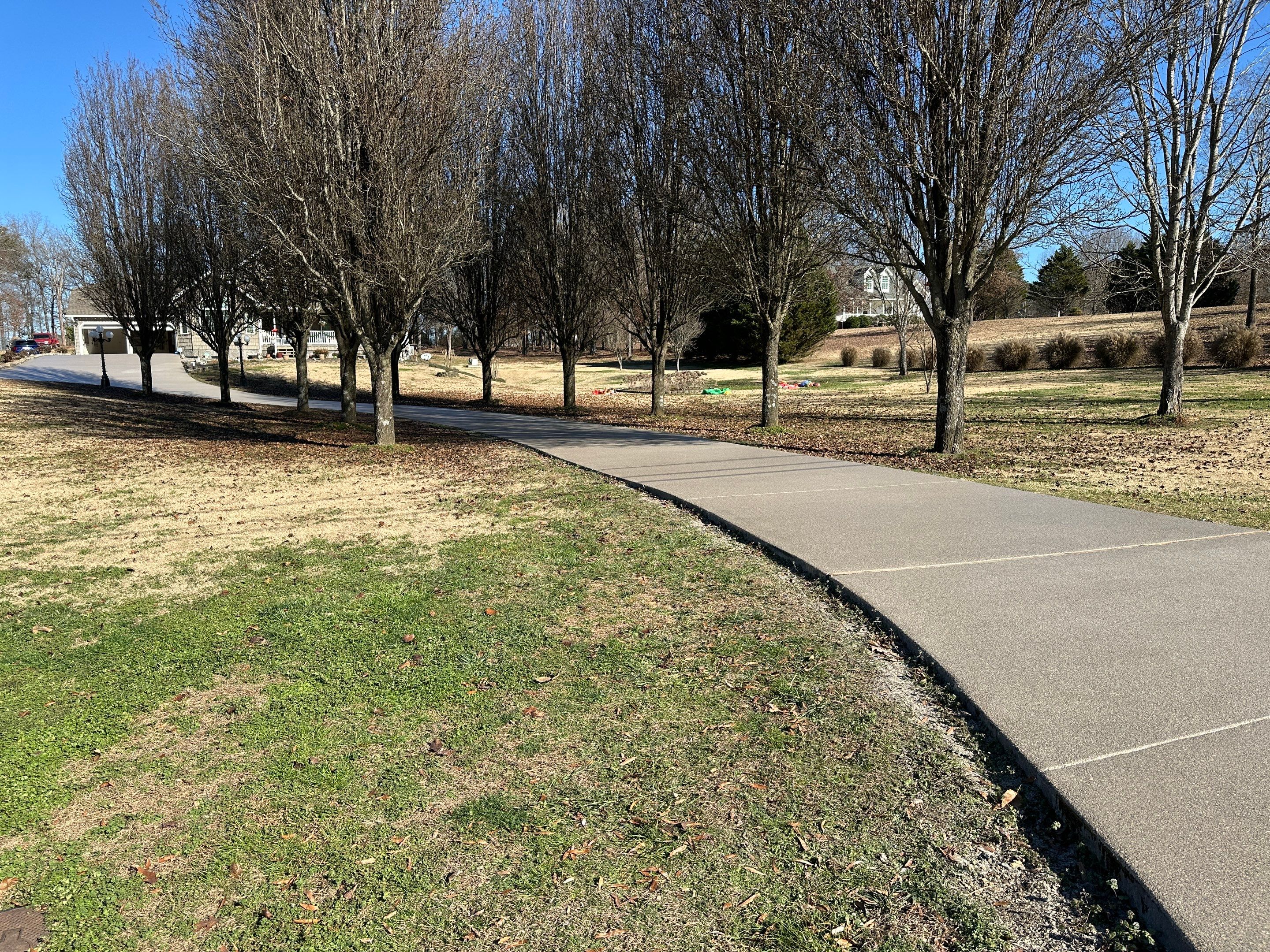 Driveway using Obsidian by Elite Floor Solutions