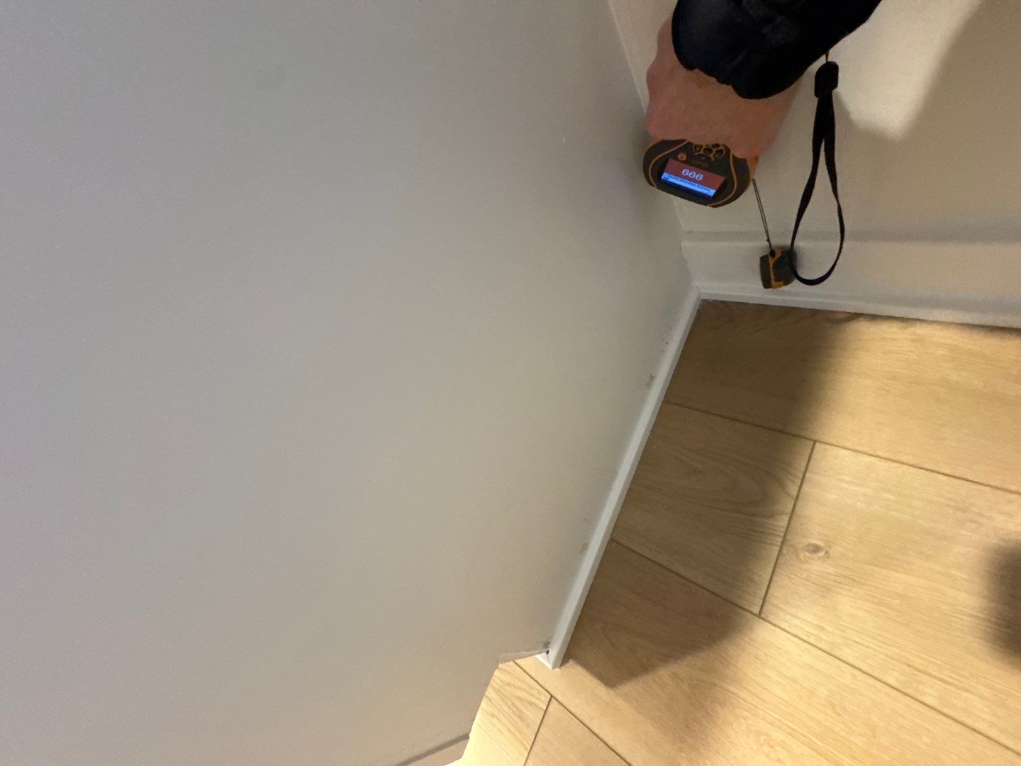 Project in Commerce Twp by EzDry Water Mitigation & Property Restoration