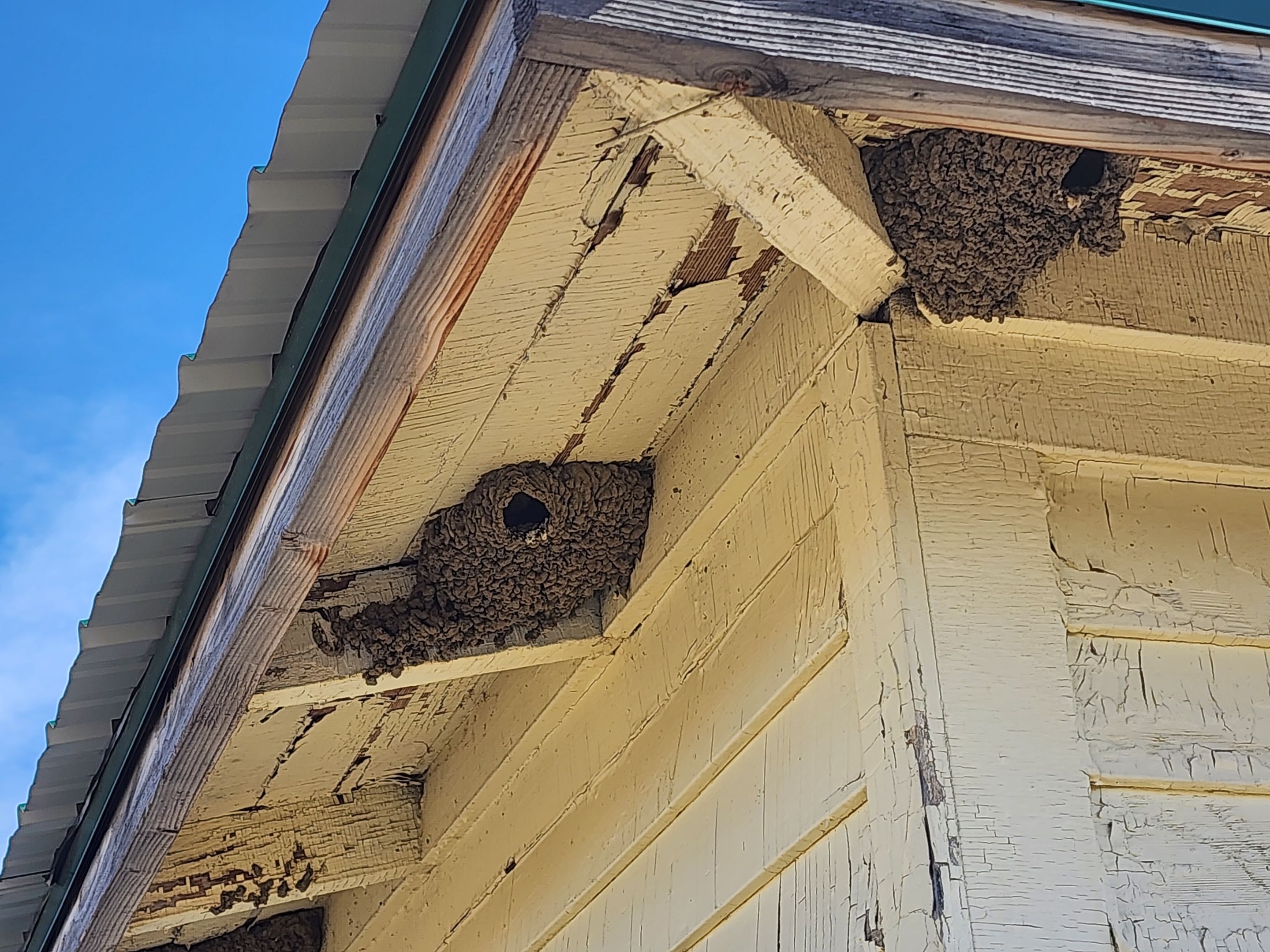 Siding Installation using James Hardie by Weather-Tite Exteriors LLC