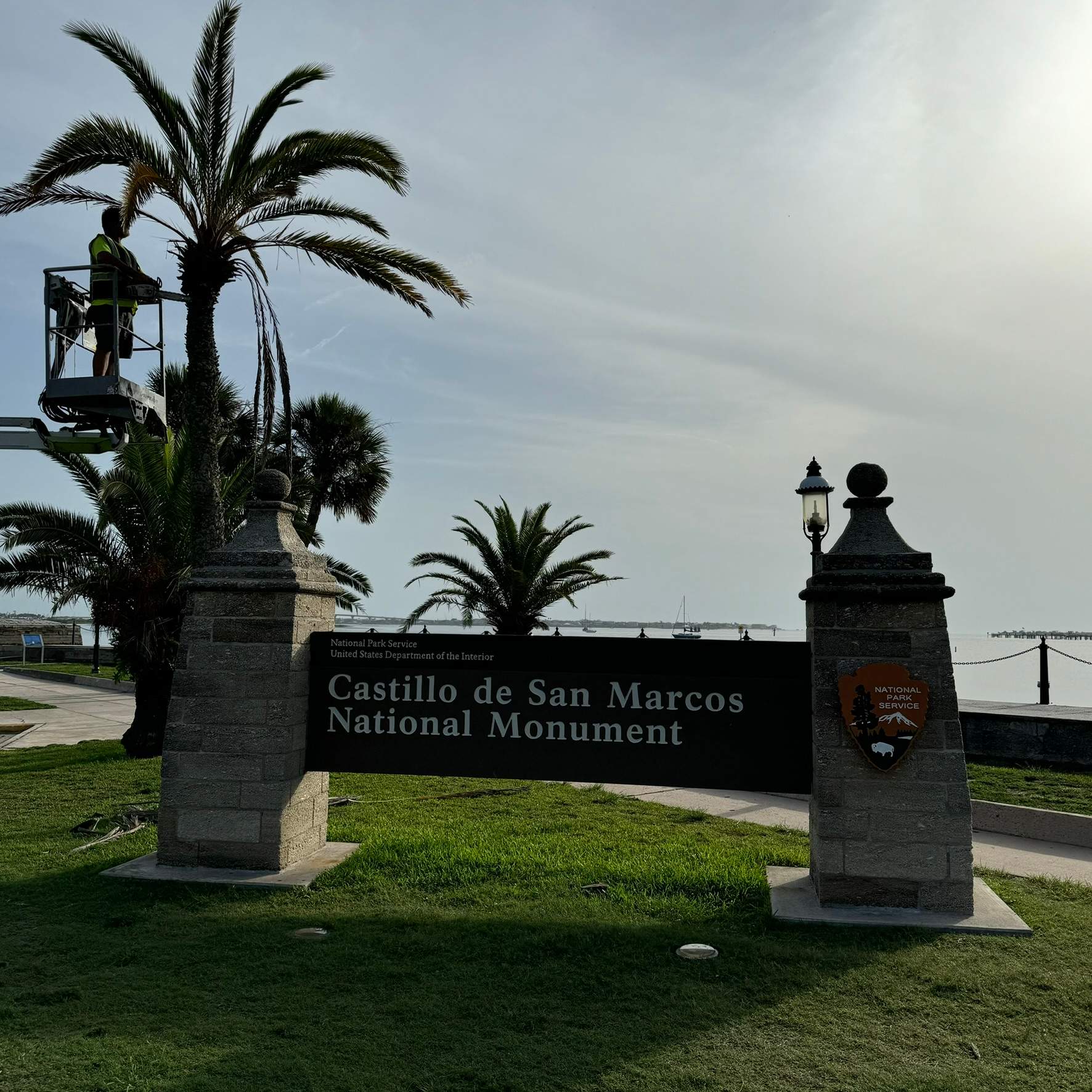 Tree Work | Castillo de San Marcos National Monument 2 by ProGreen Services