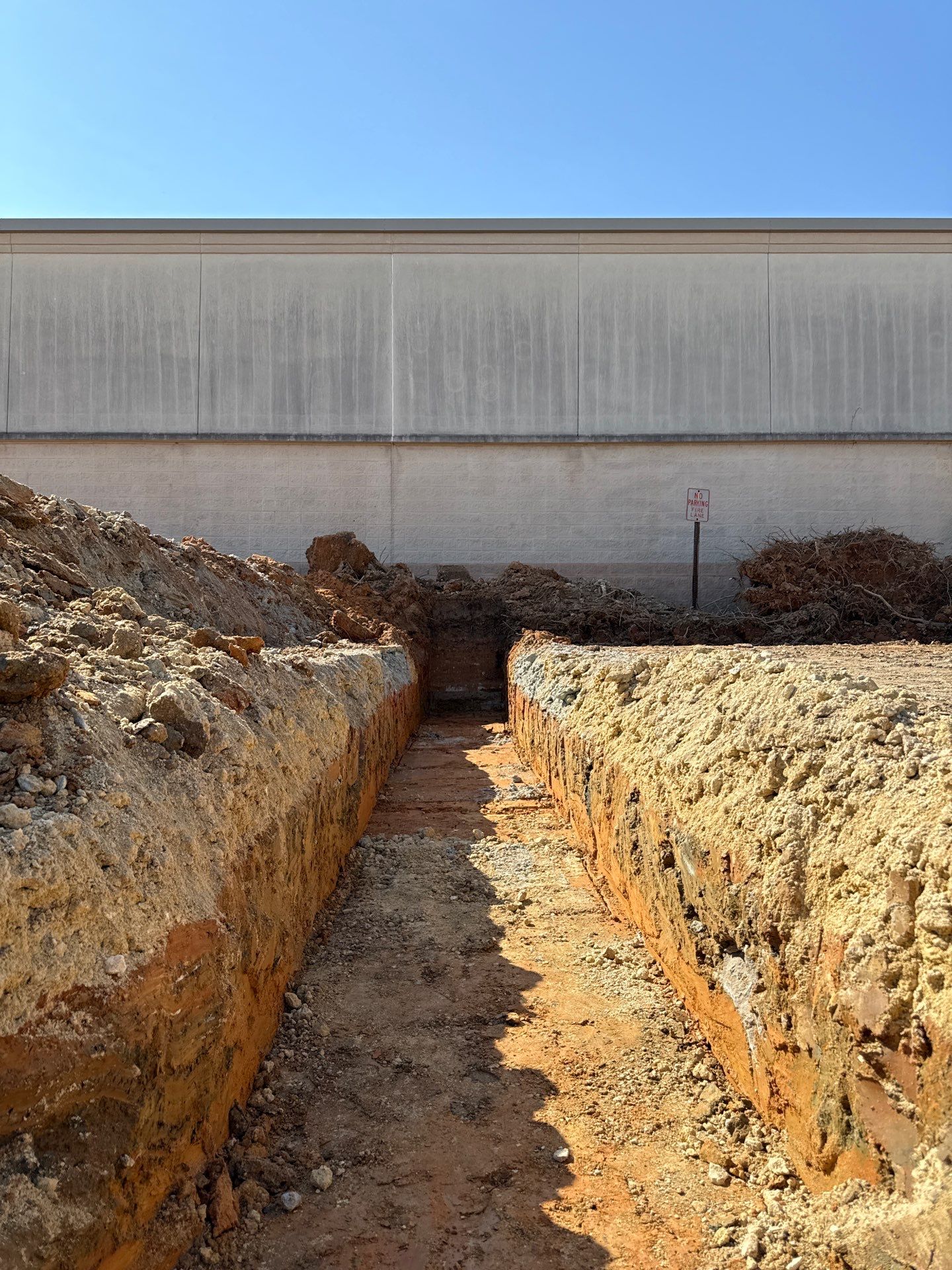 FTB Haribson Bank Project Columbia SC - (Commercial) by Carolina-Metro Landscape, Inc