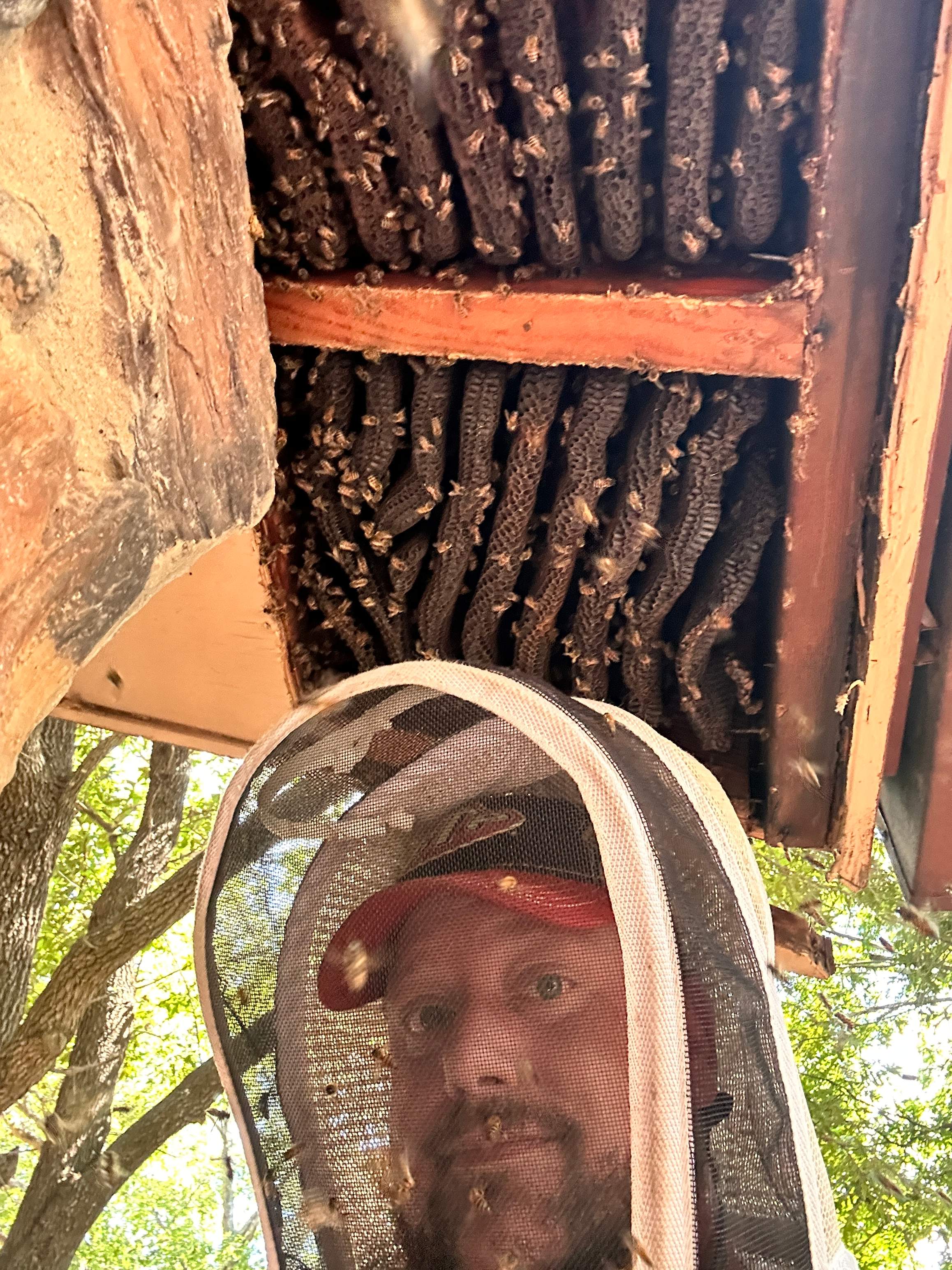 Abandoned Home by Rockwall Honey Bee Company