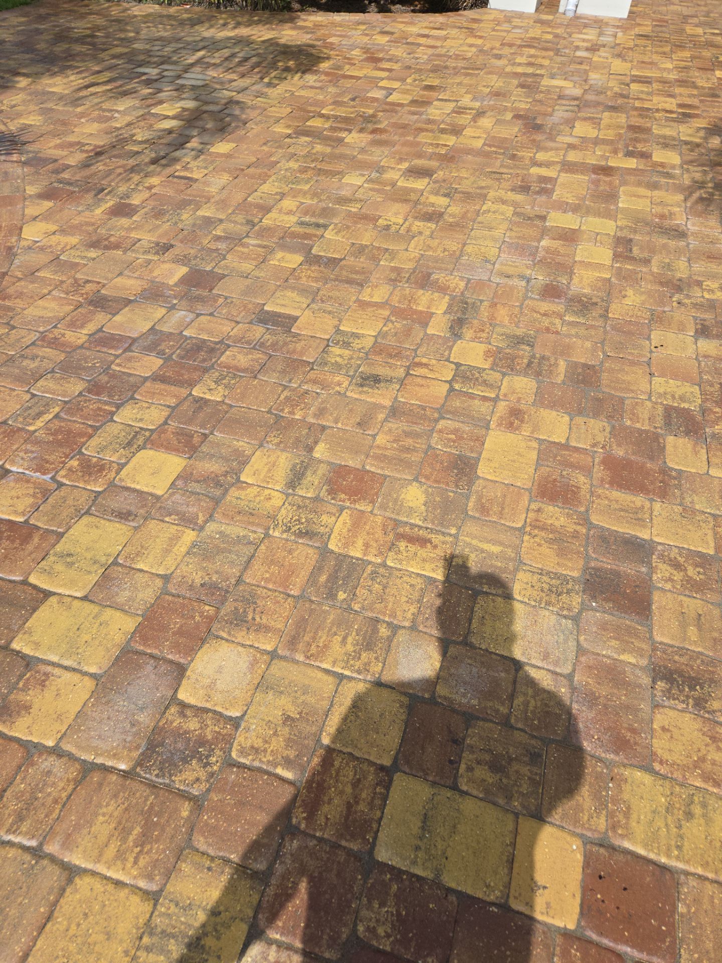 Paver Driveway using Concrete Sealant by DuraSeal