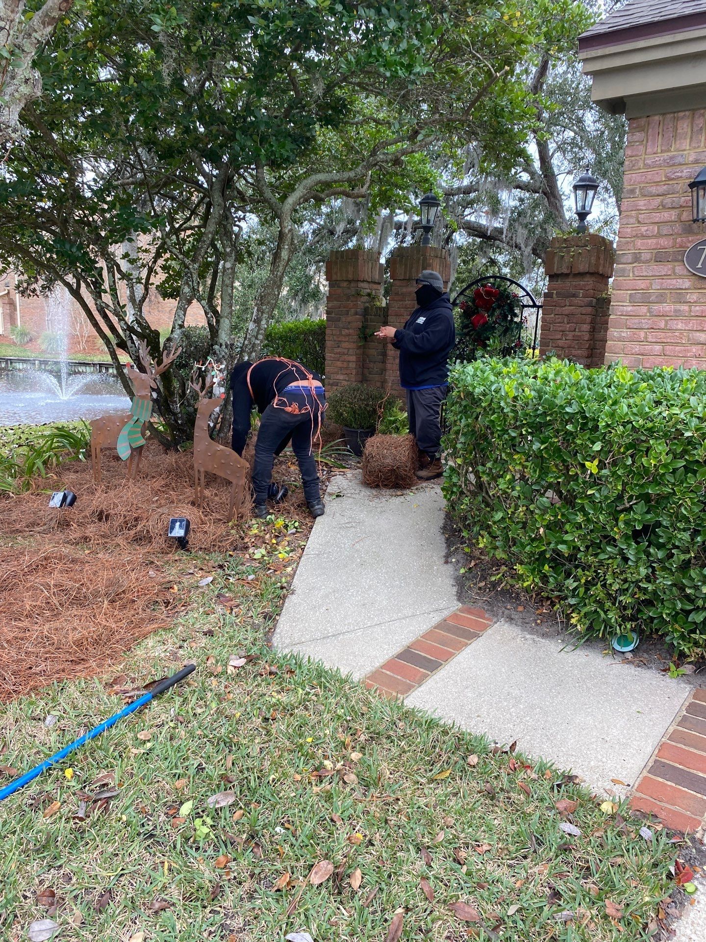 Deerwood Pointe | Tree Removal & Pine Straw Installation by ProGreen Services