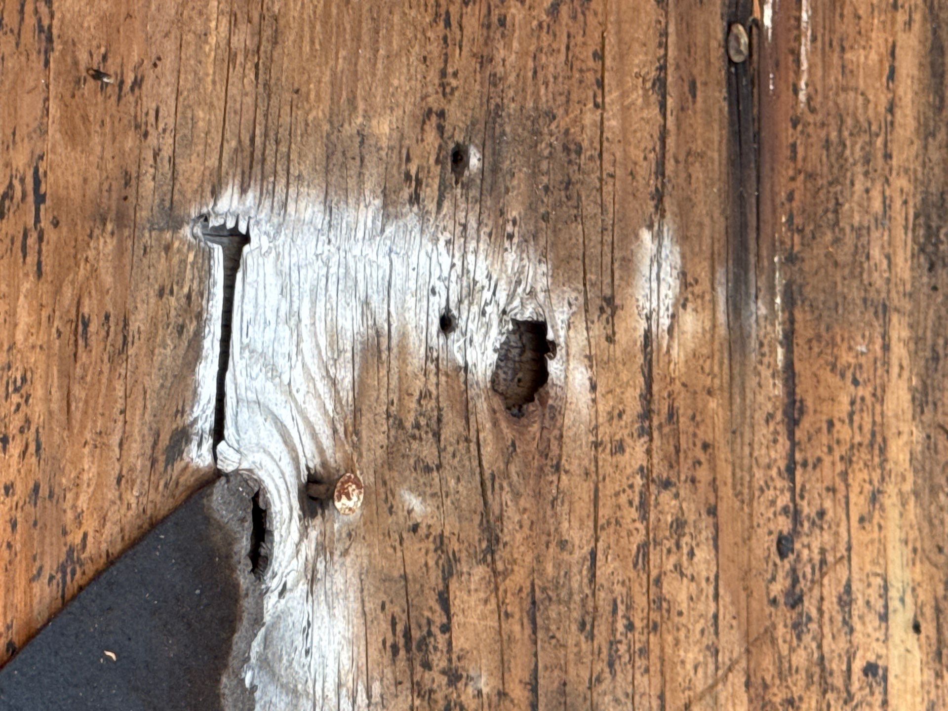 Roof Repair Houston by Roof Repair Services LLC