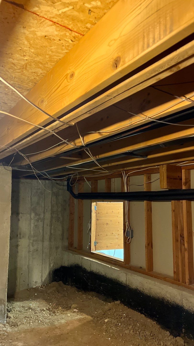 Mold Damage by Accountable Home Services