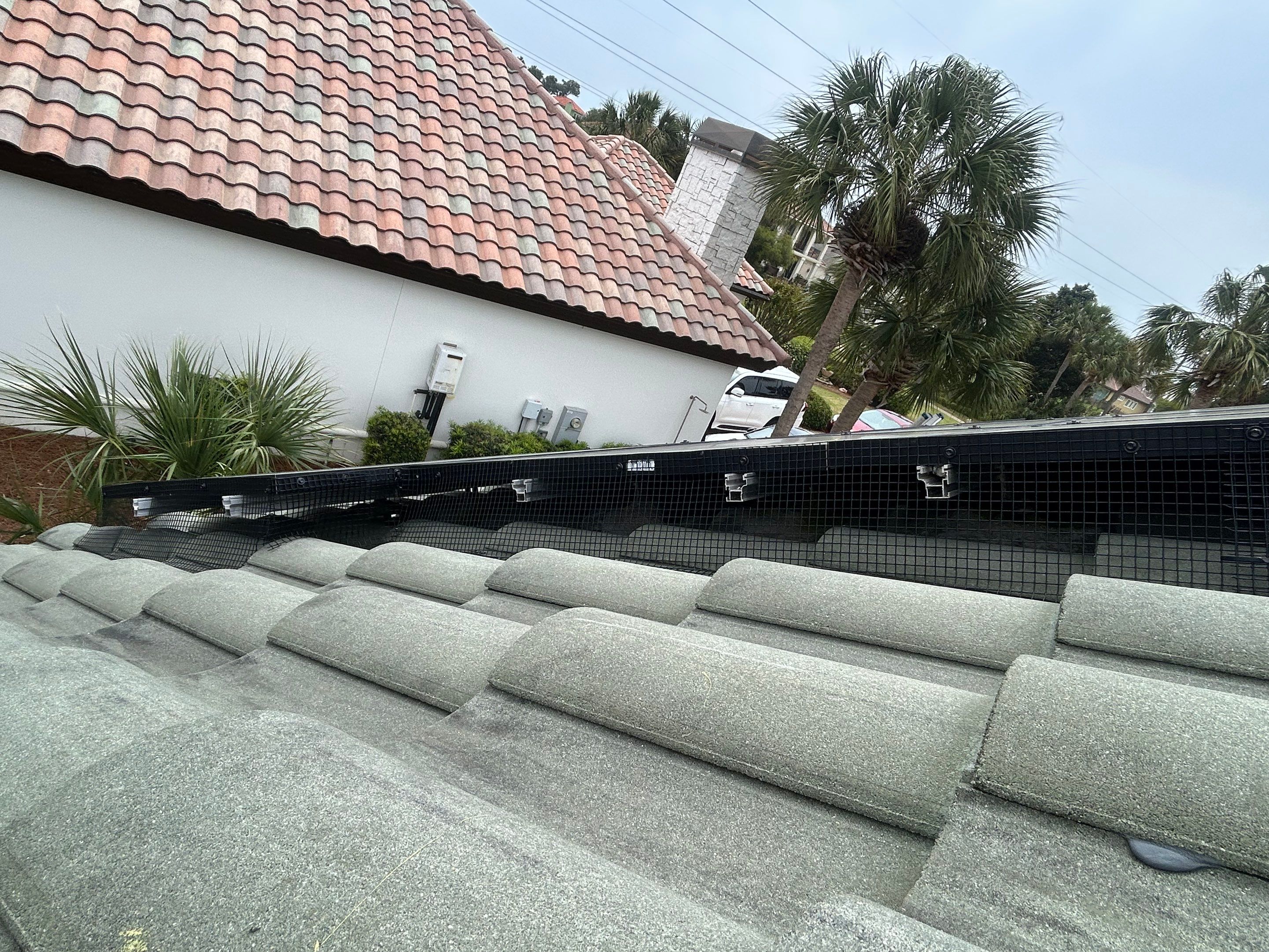 Solar Squirrel Defense System Installation by Gulf Solar Services