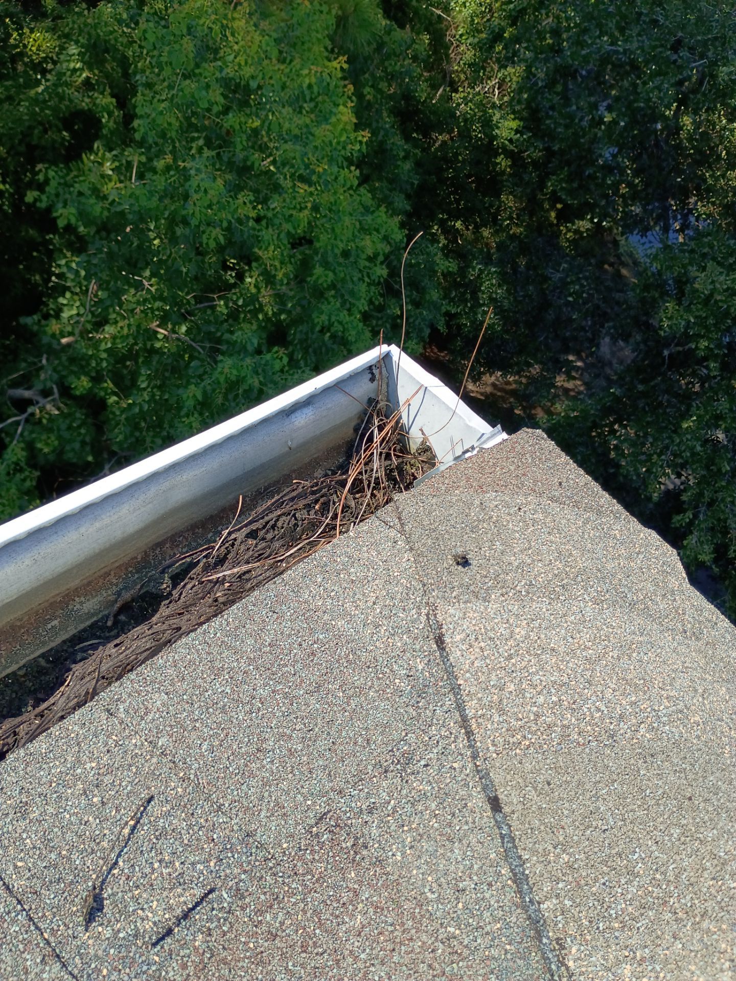HOA gutter cleaning in Panama City Beach, FL,before  photo showing full gutters.