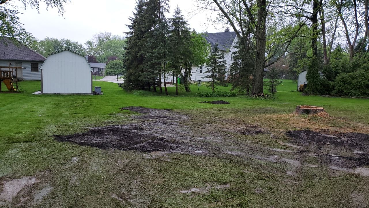 Tree Removal using Tree Removal by Mike Jones & Sons Tree Service LLC 