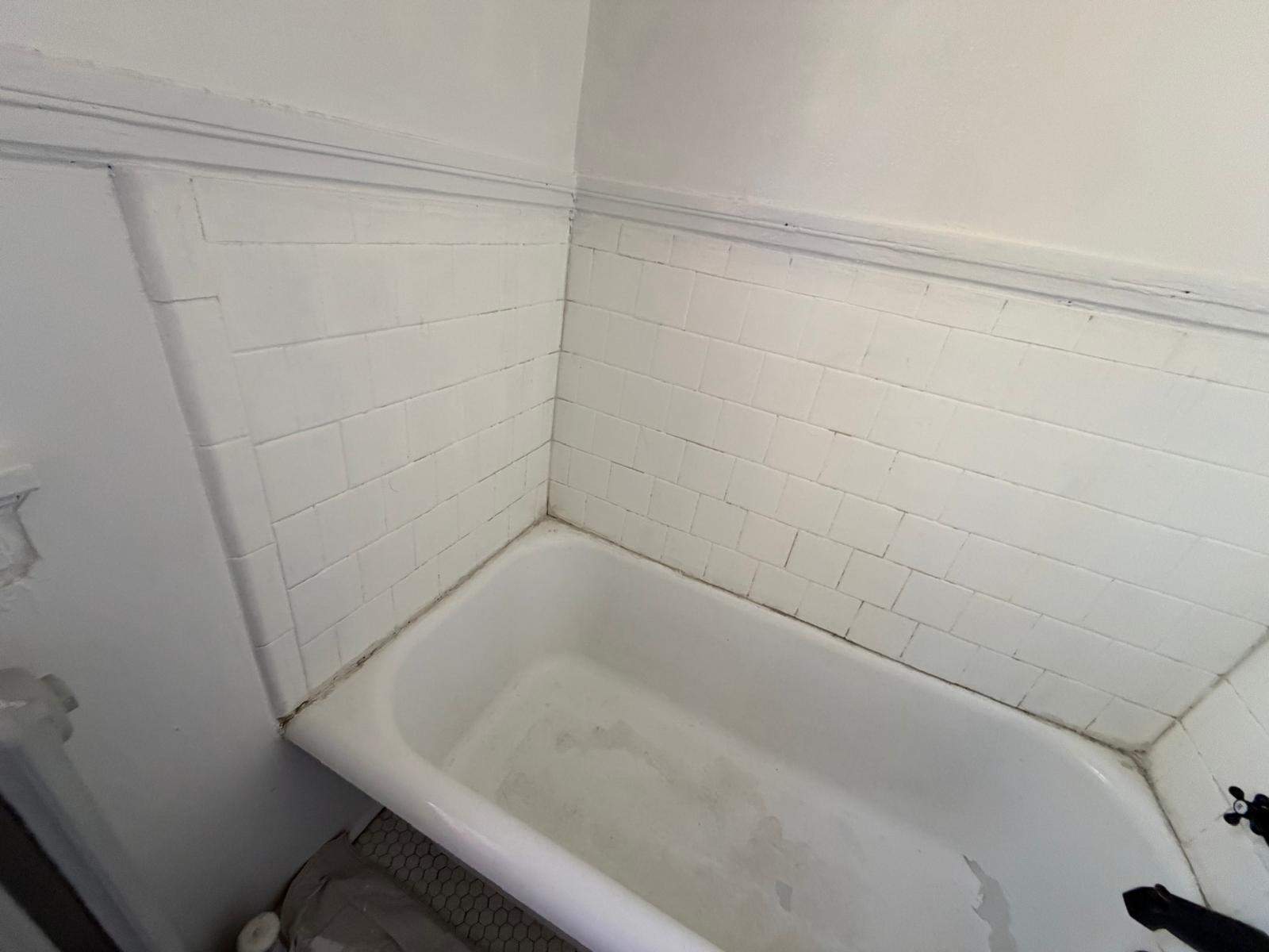 Bathtub renovation  by Alpha and Omega Pro Services