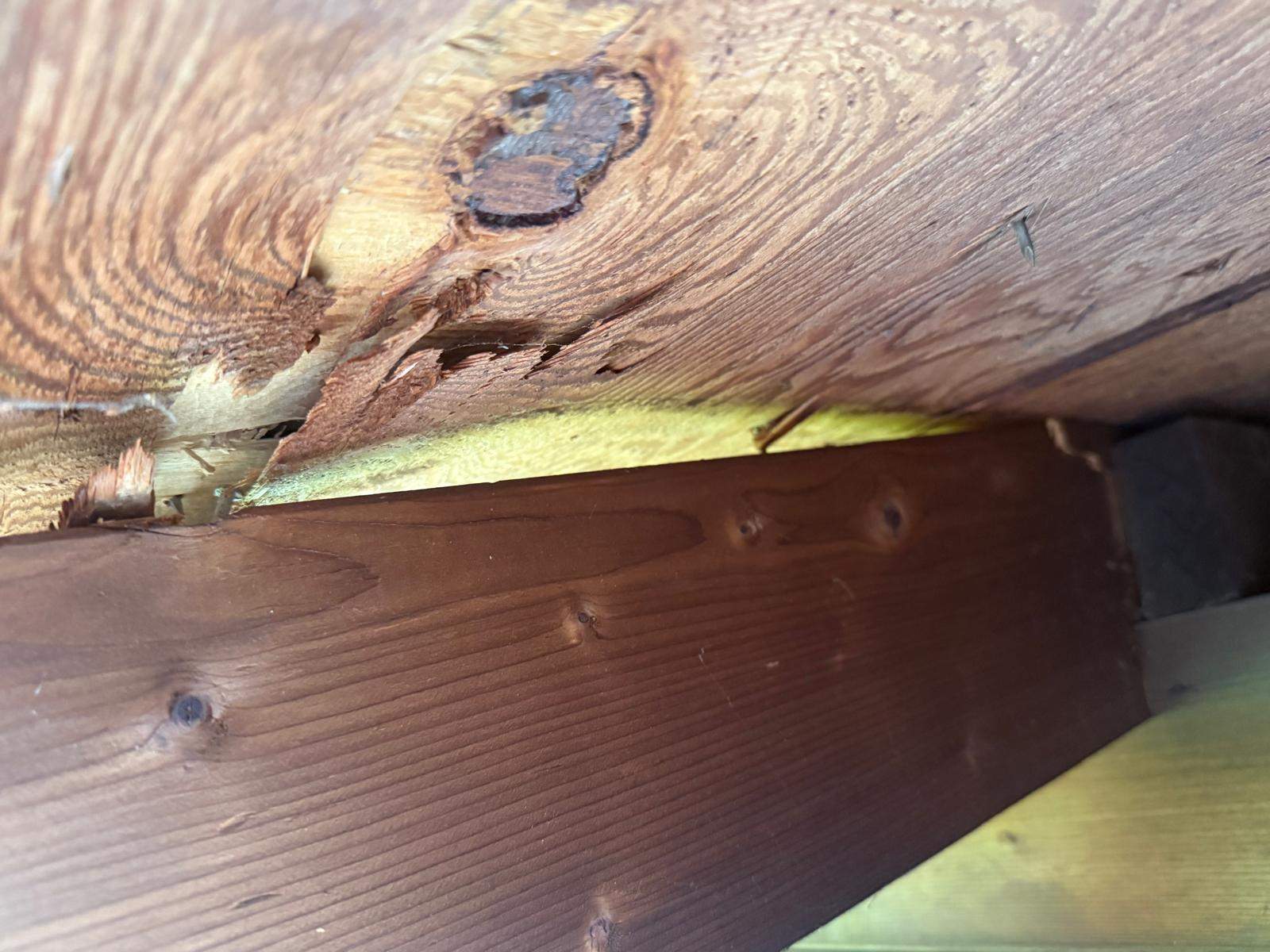 Storm Damage Repairs by Stofan Construction LLC
