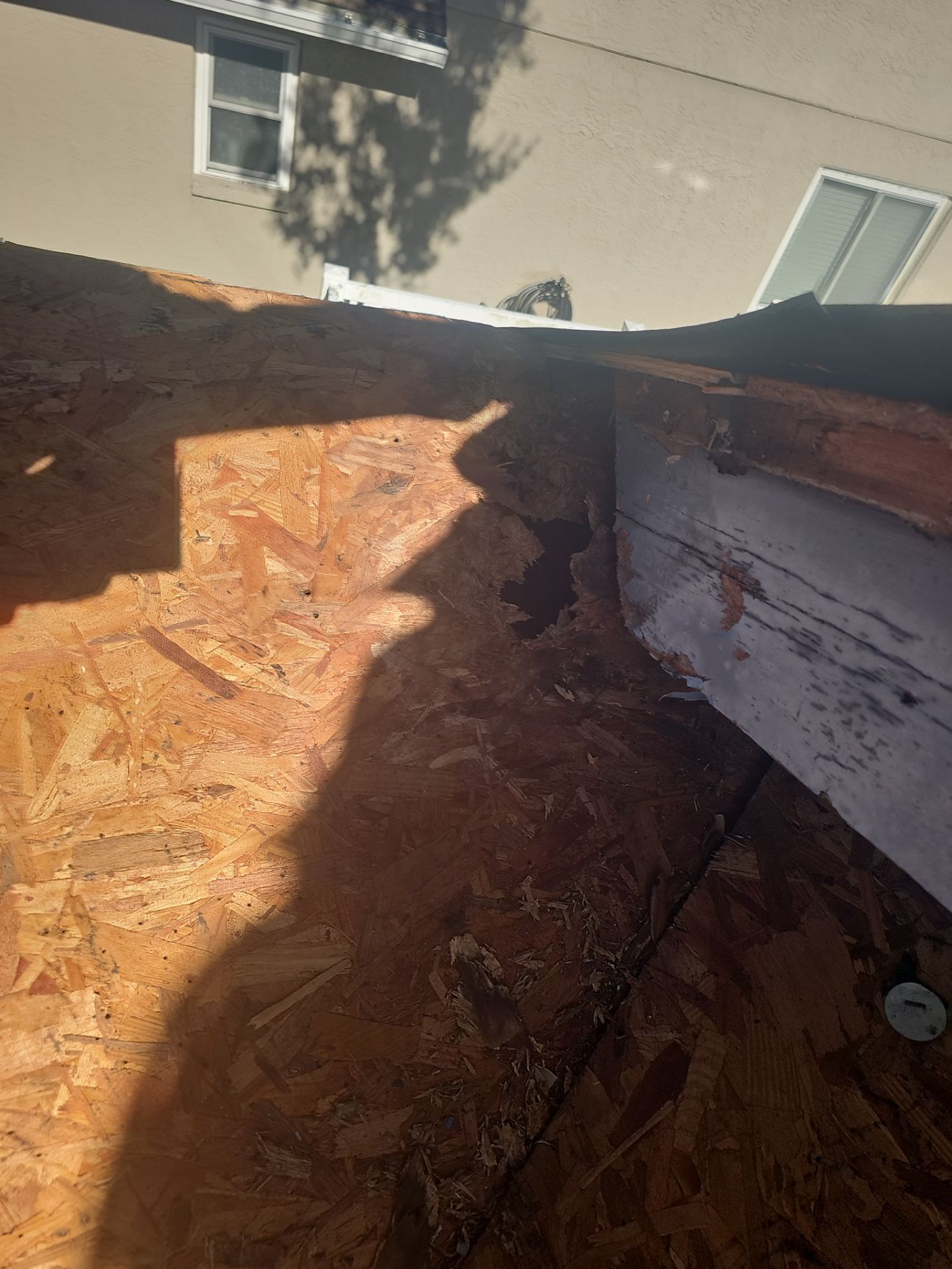 Project in Tampa 33625 by Mitchell Roofing Company LLC