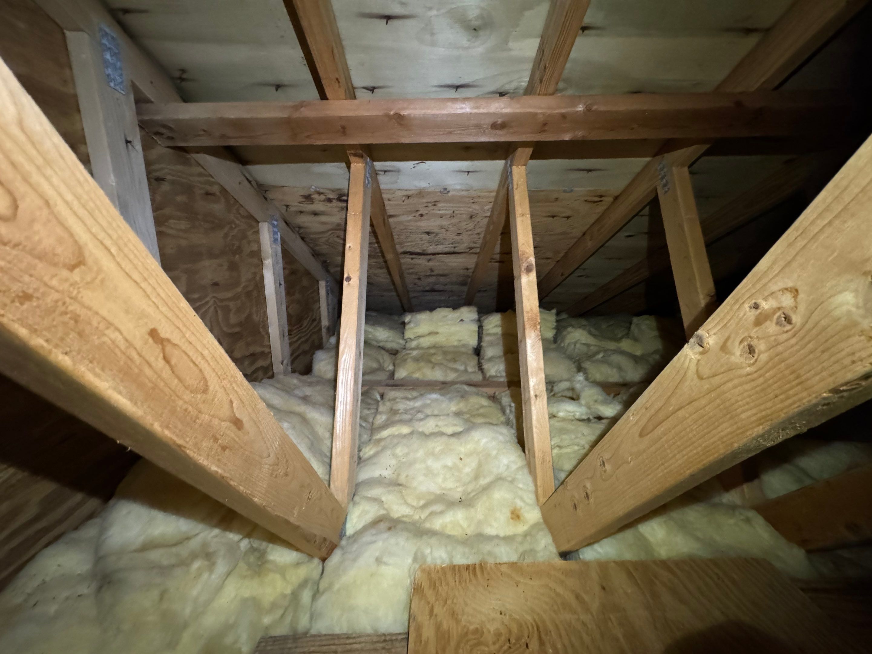 Attic & Sunroom Mold Remediation by Home Guarantee, LLC
