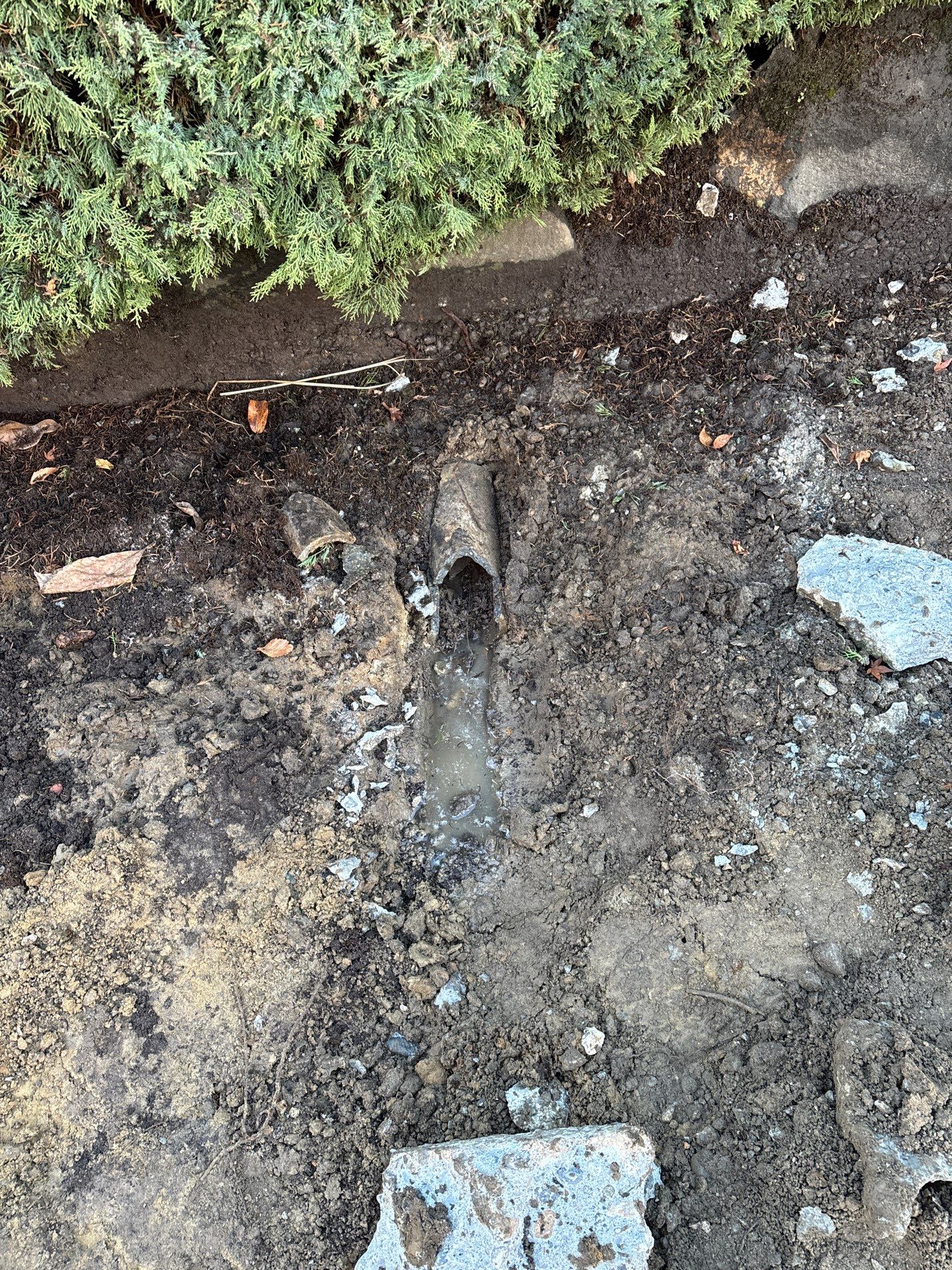 Concrete Driveway Repair | Seattle  by Jireh Asphalt & Concrete Inc 