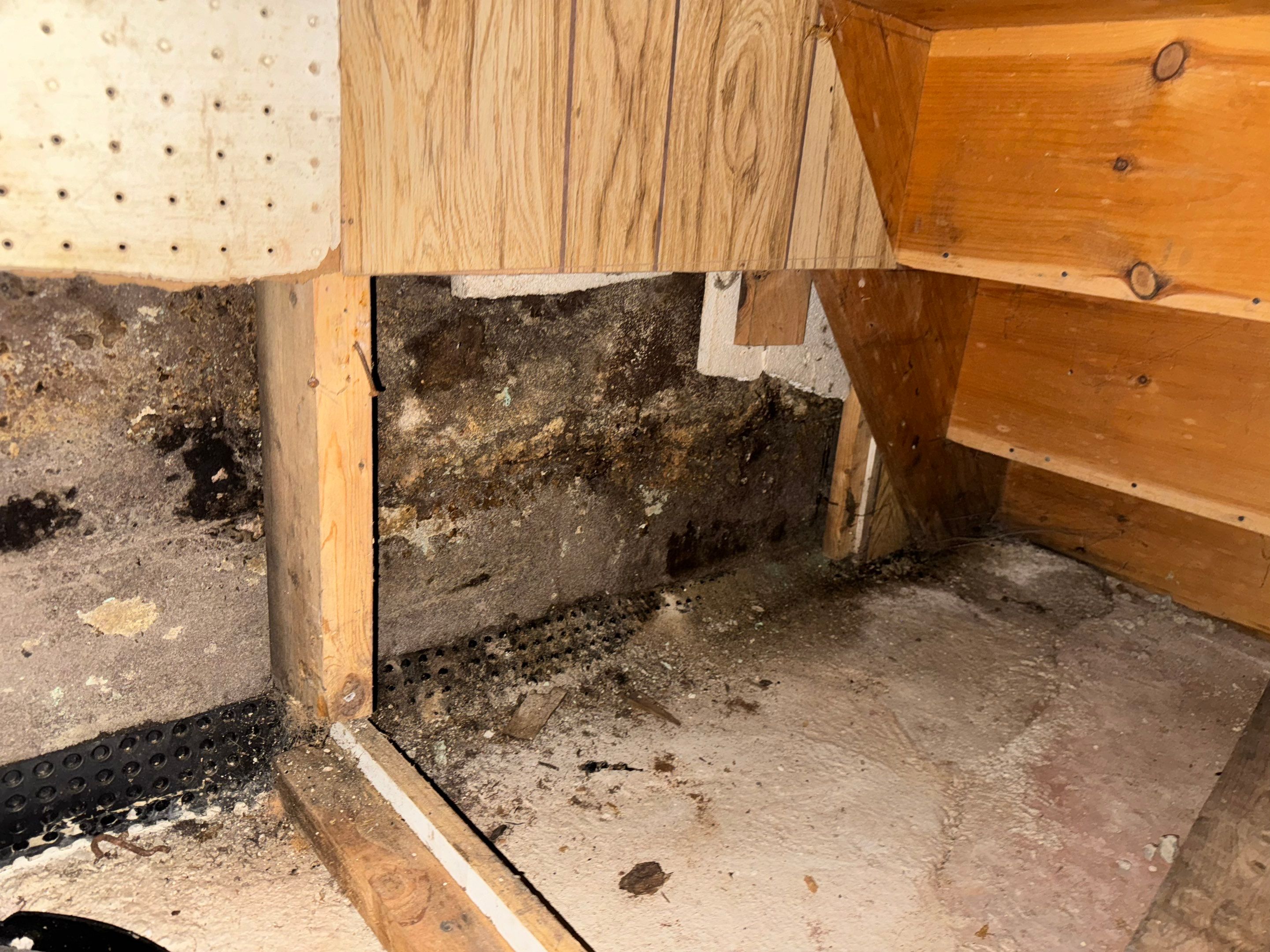 Interior French Drain West Orange NJ by Pure Service Pro, LLC 