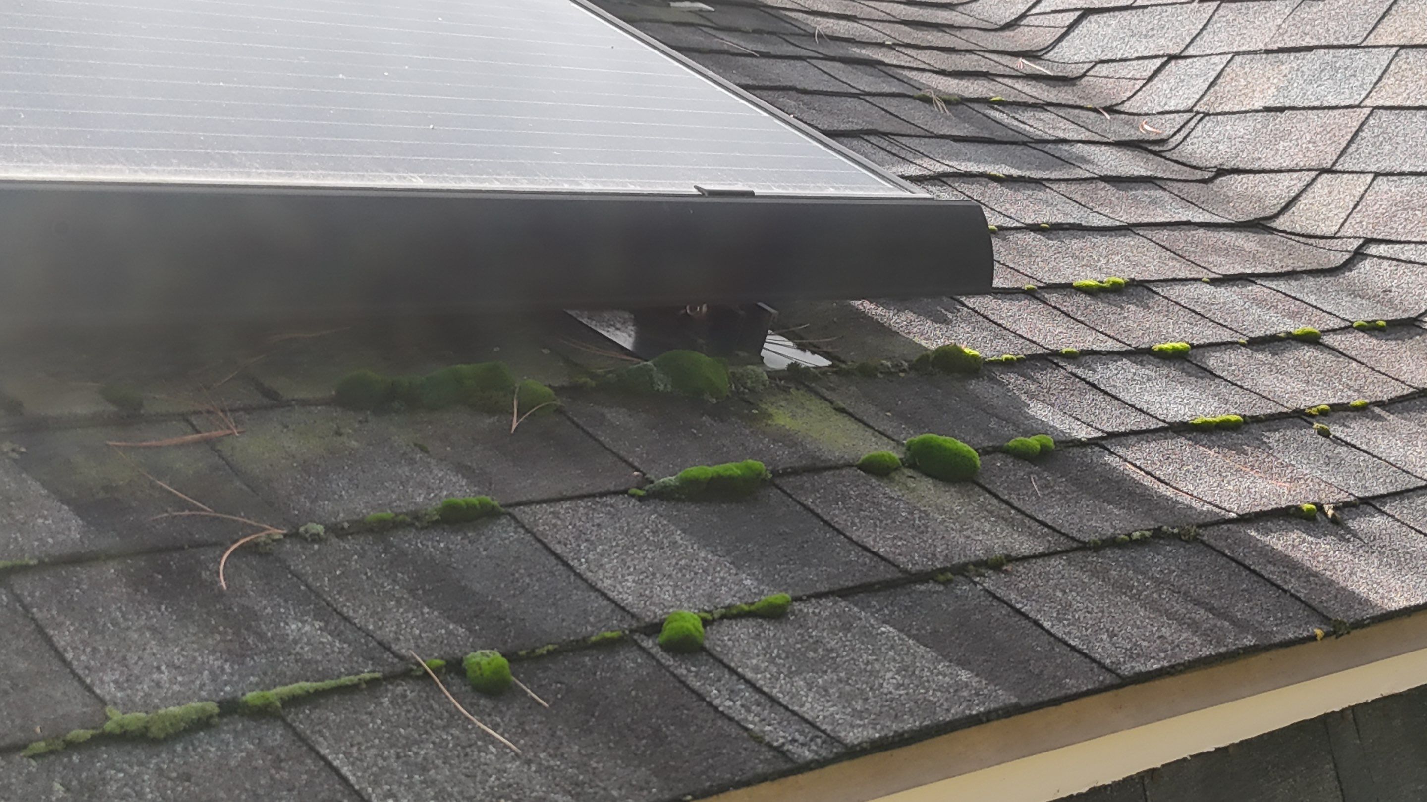 Westford Roof Repair: 1 Square Damaged Section Replacement by Mighty Dog Roofing of Greater Middlesex County