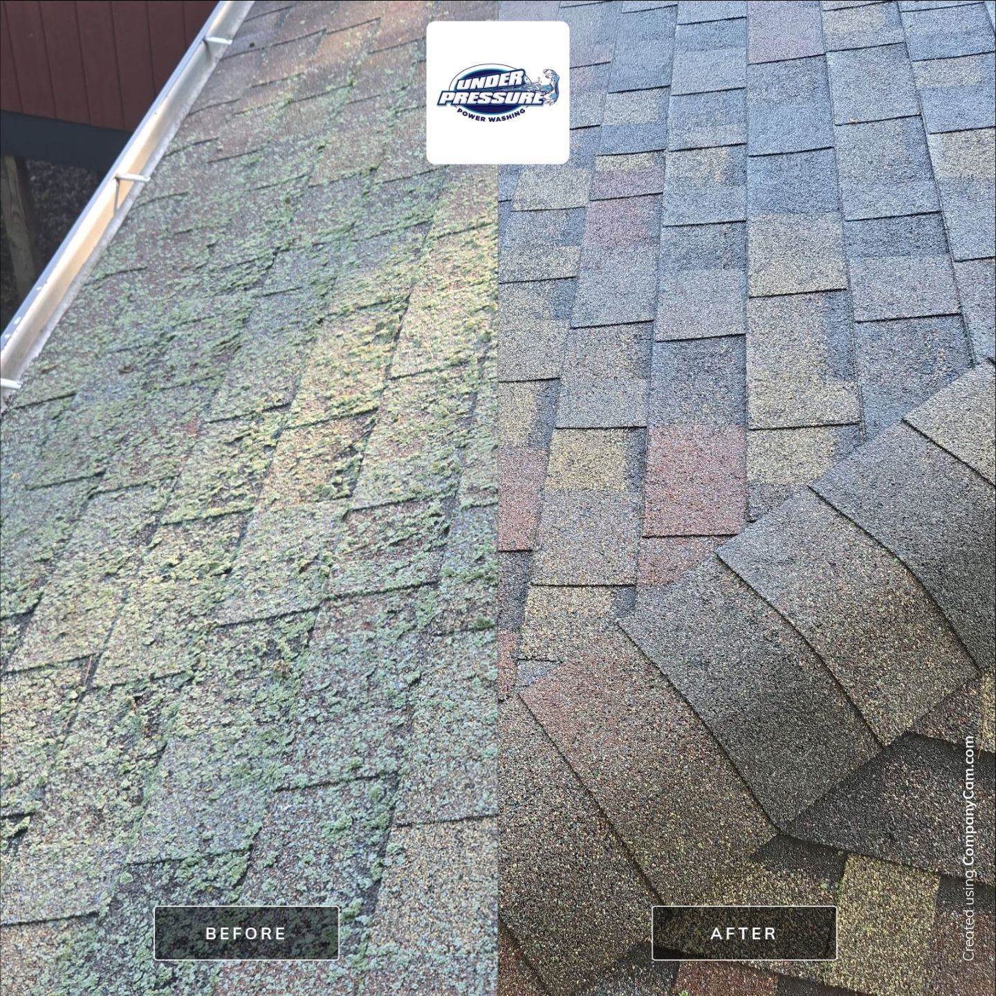 Asphalt Shingle Roof Cleaning and Moss Removal in Stoughton by Under Pressure Power Washing 