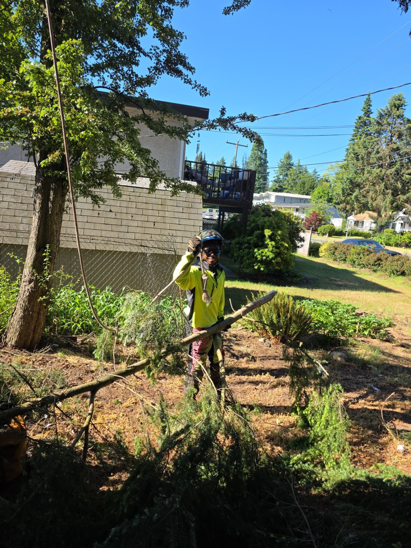 Commercial Tree Removals for Property Manager by Sound Tree Care LLC