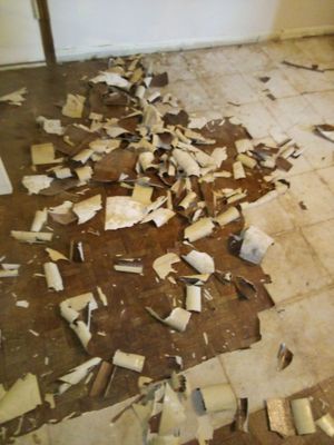 Sewage Backup in Prospect, KY