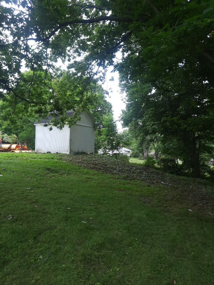 Tree Removal using Tree Removal by Mike Jones & Sons Tree Service LLC 