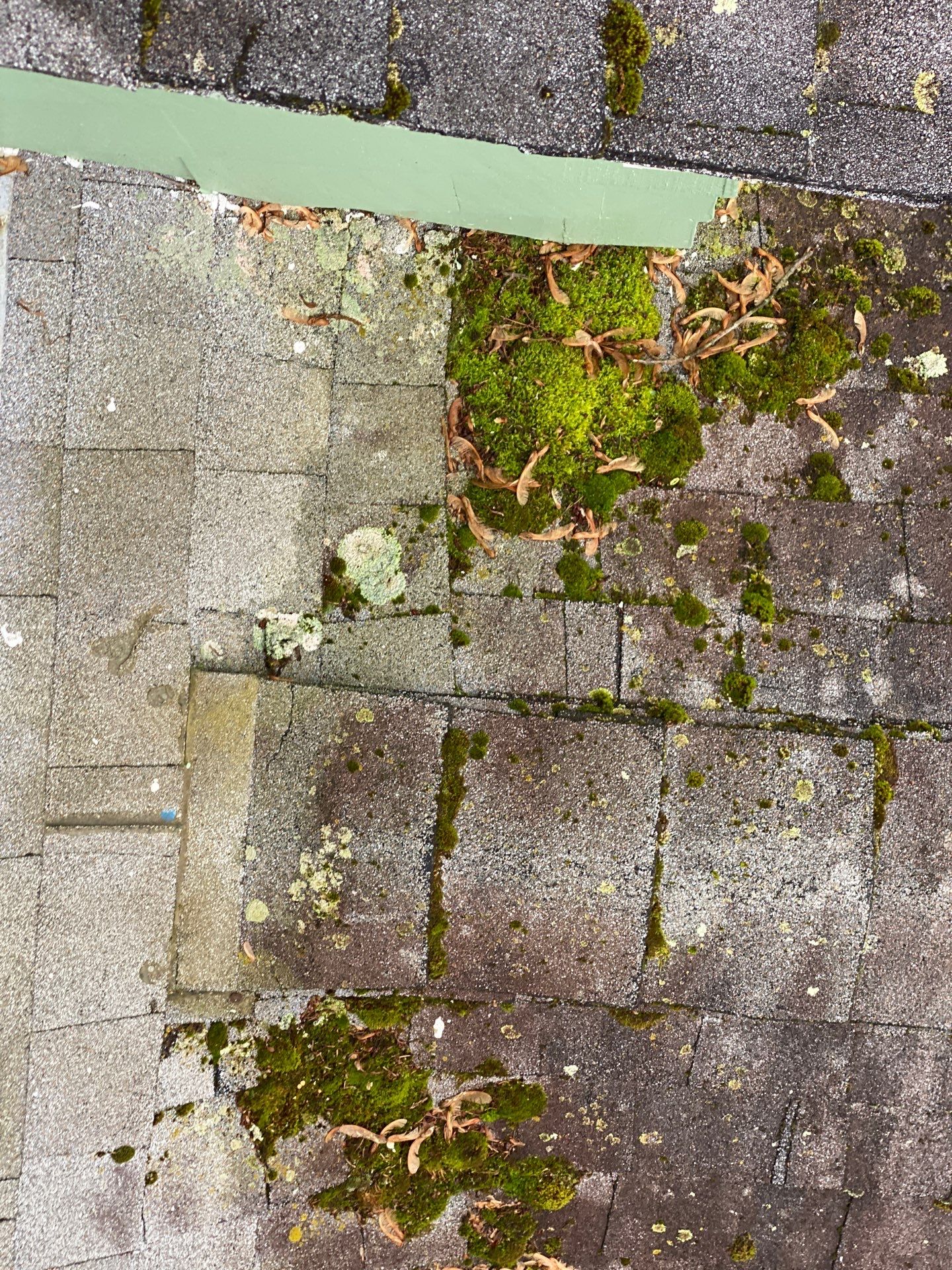 Roofing | Concord by Mighty Dog Roofing of Greater Middlesex County
