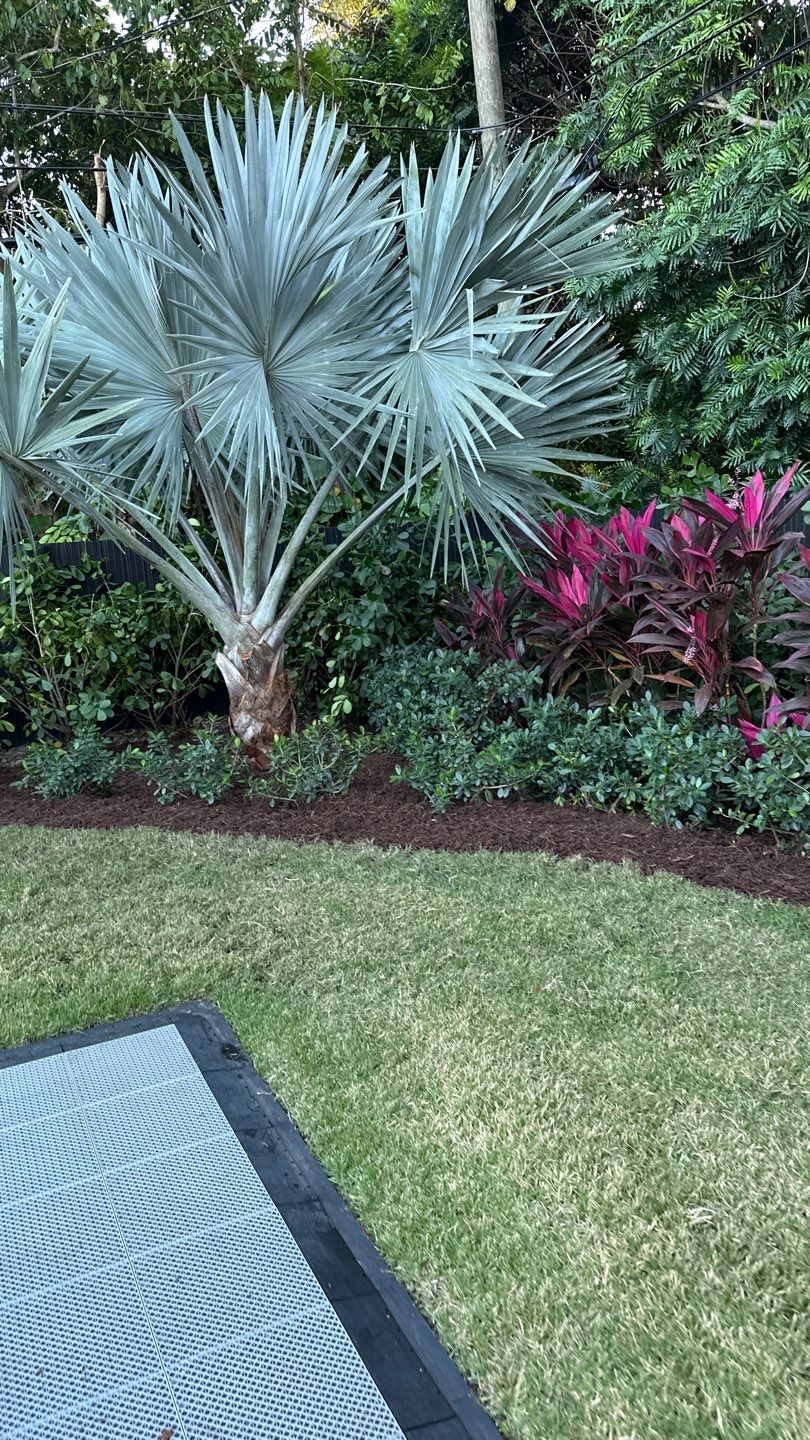 Pinecrest Landscape Upgrade from Minimum Requirements by Nature's Dream Landscape and Tree Service