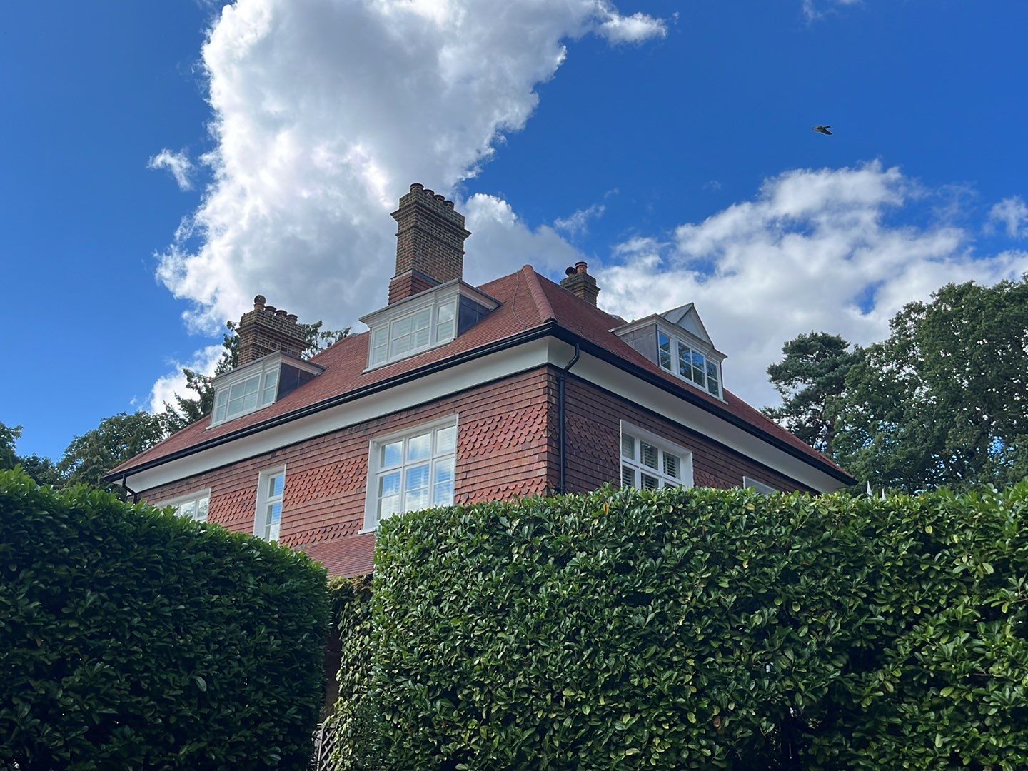 Exterior Clean - Roof - Pool  using Mosmatic FSC and Biocide by Ges Exterior Cleaning ltd