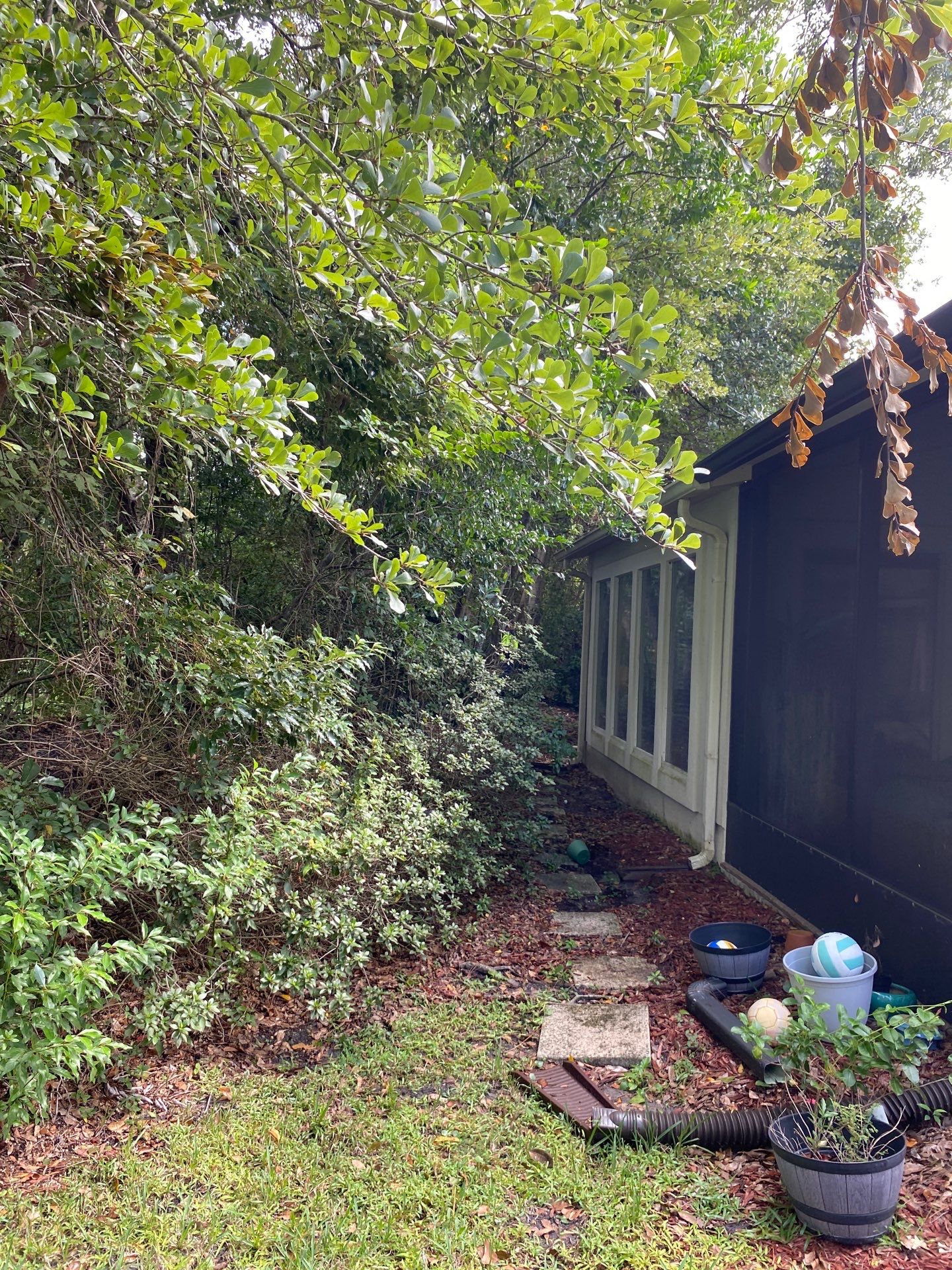Deerwood Residence | Property Clean Up  by ProGreen Services