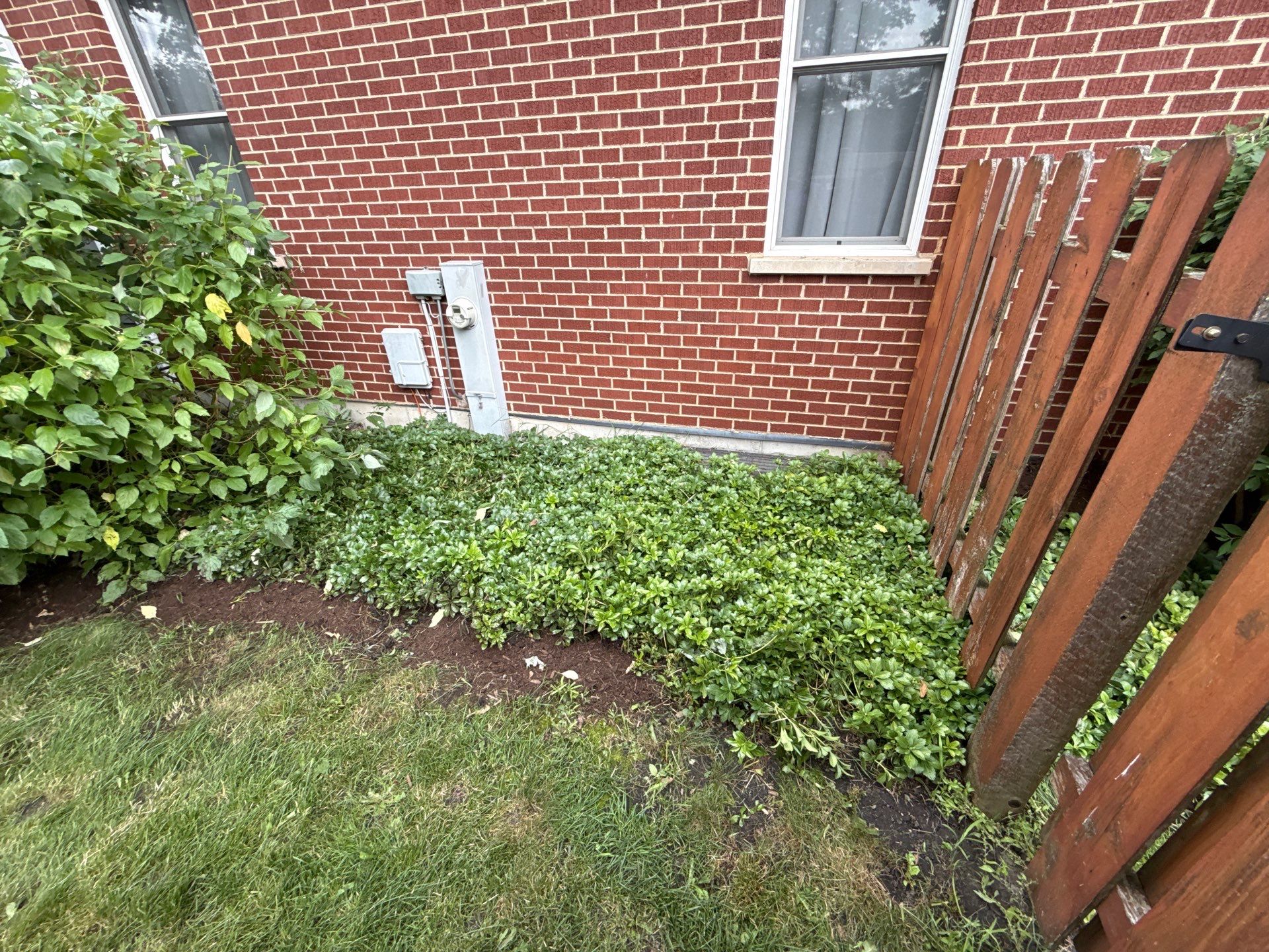Rob M. - Arlington Heights, IL by A&N 