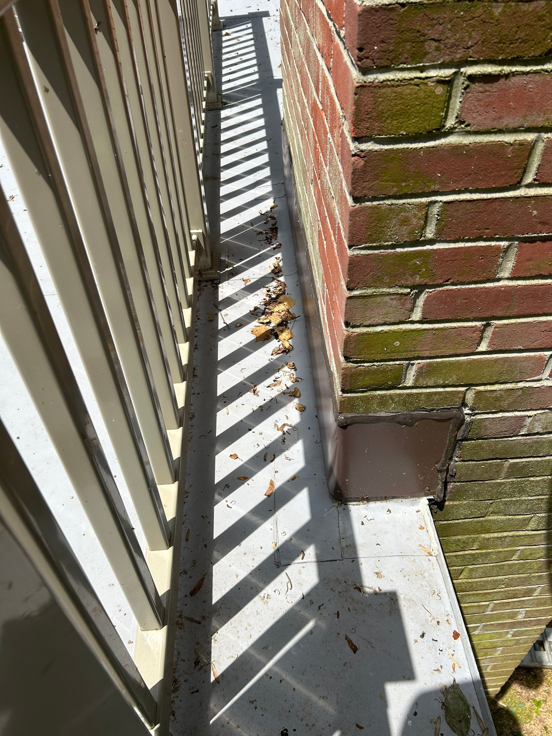 Annandale: Multi-Trade Tree Damage Restoration by RM Banning, Inc.