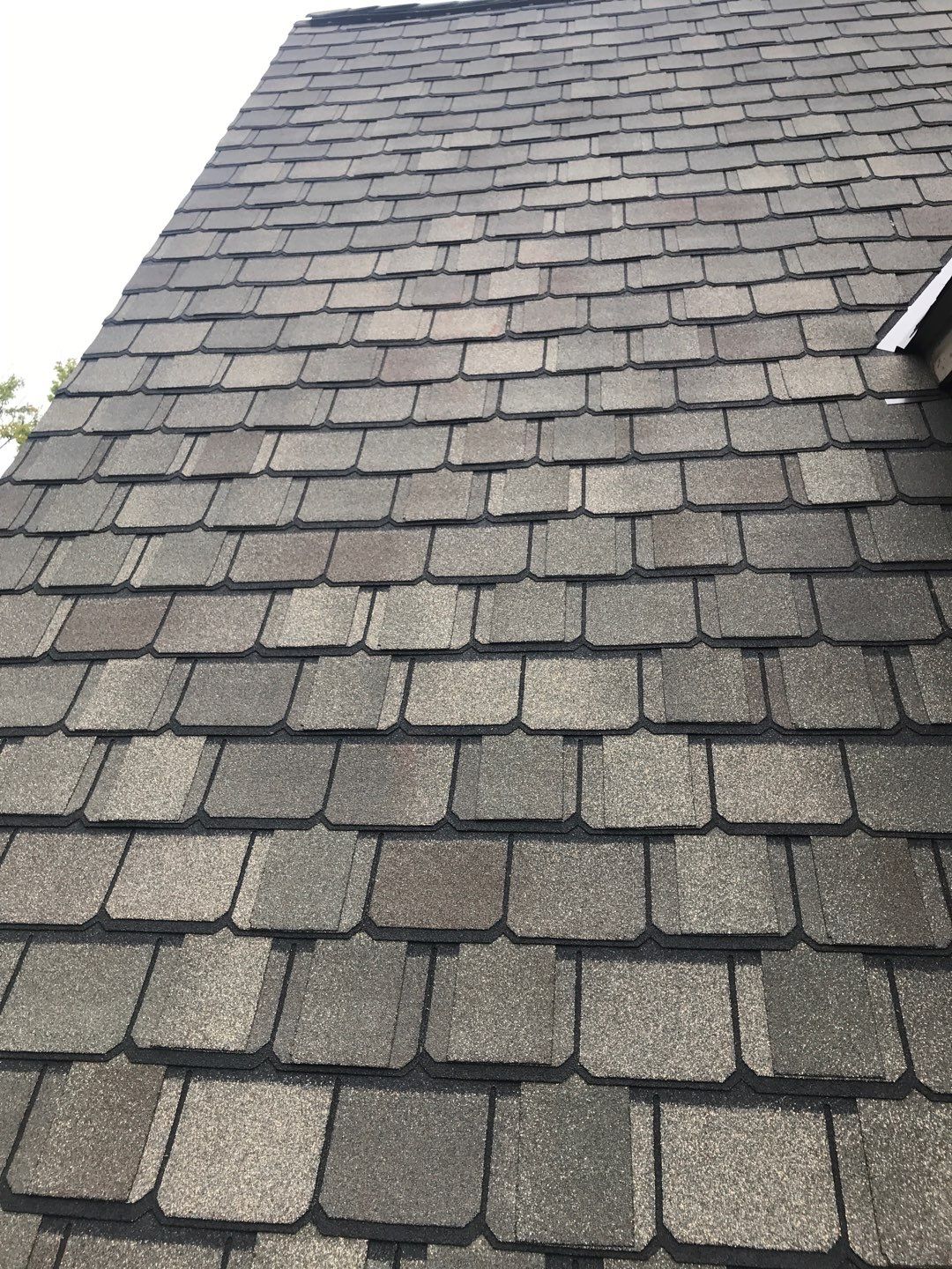 NEW CertainTeed Grand Manor from old Cedar Shake! by Absolute Roofing and Construction