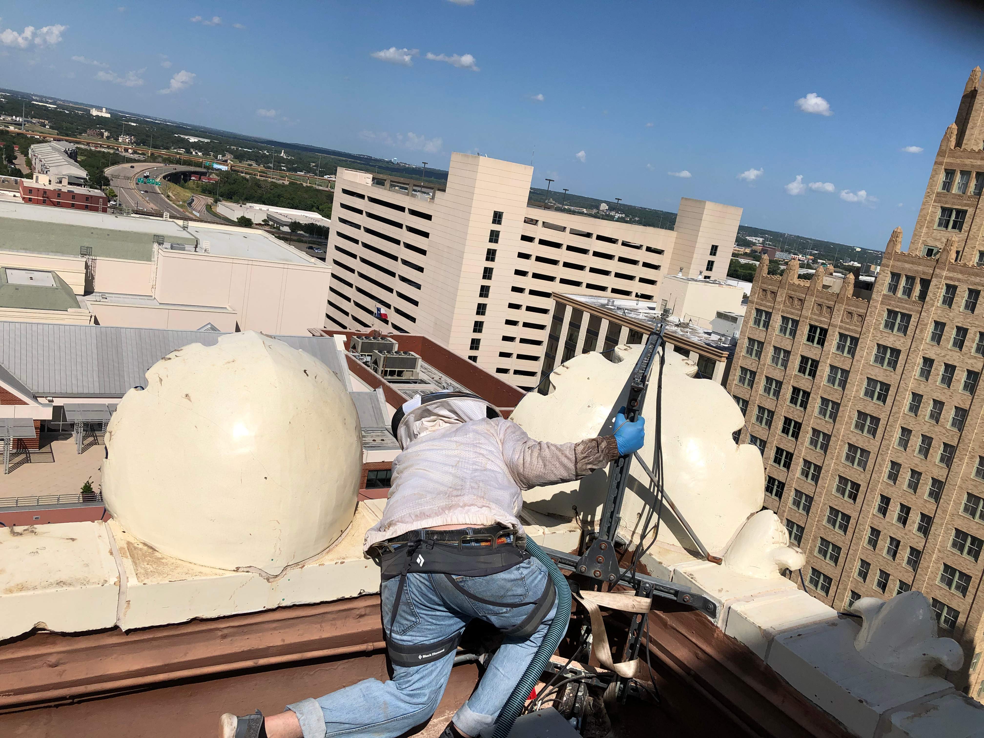 Downtown Highrise by Rockwall Honey Bee Company