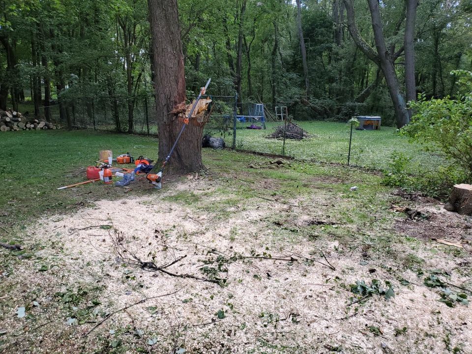 Storm Damaged Tree Removal  by Mike Jones & Sons Tree Service LLC 