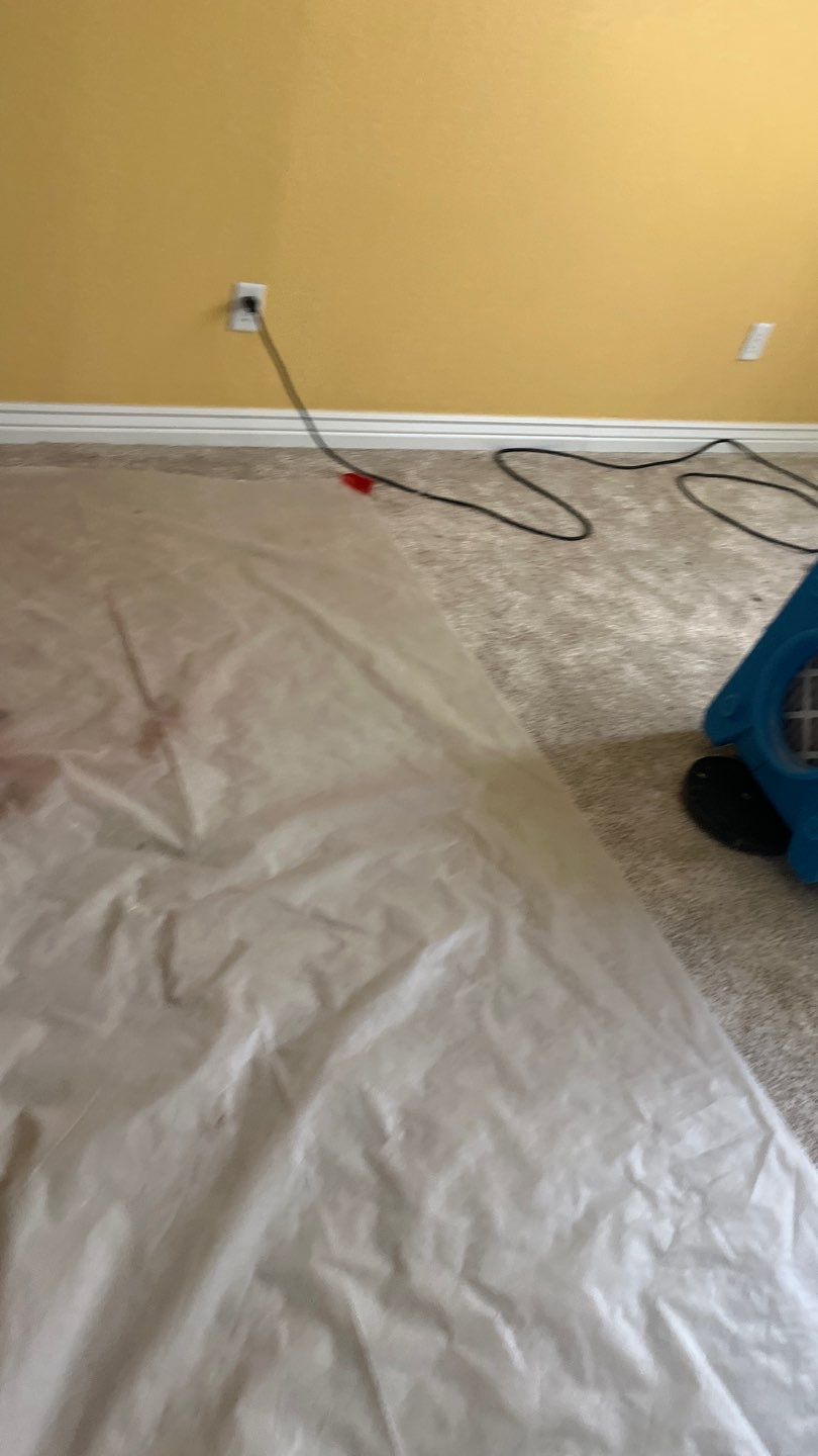 Mold Remediation by Accountable Home Services