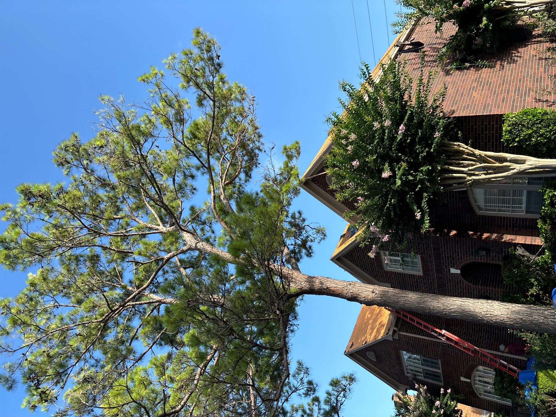 Roof Replacement Missouri City by Roof Repair Services LLC