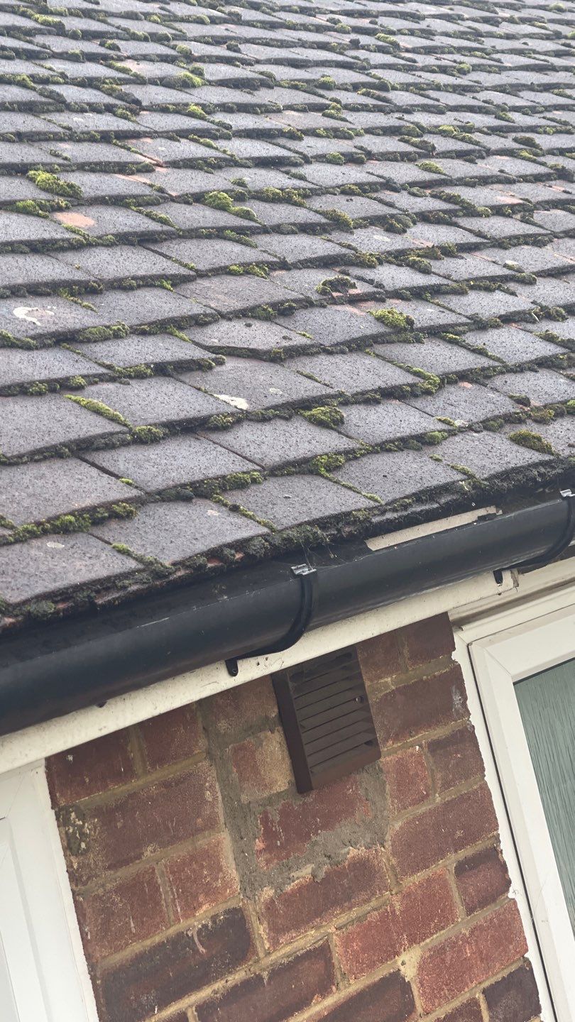 Roof Clean and Coping Stones using Honda 15lpm Low Pressure Washing Machine by Ges Exterior Cleaning ltd