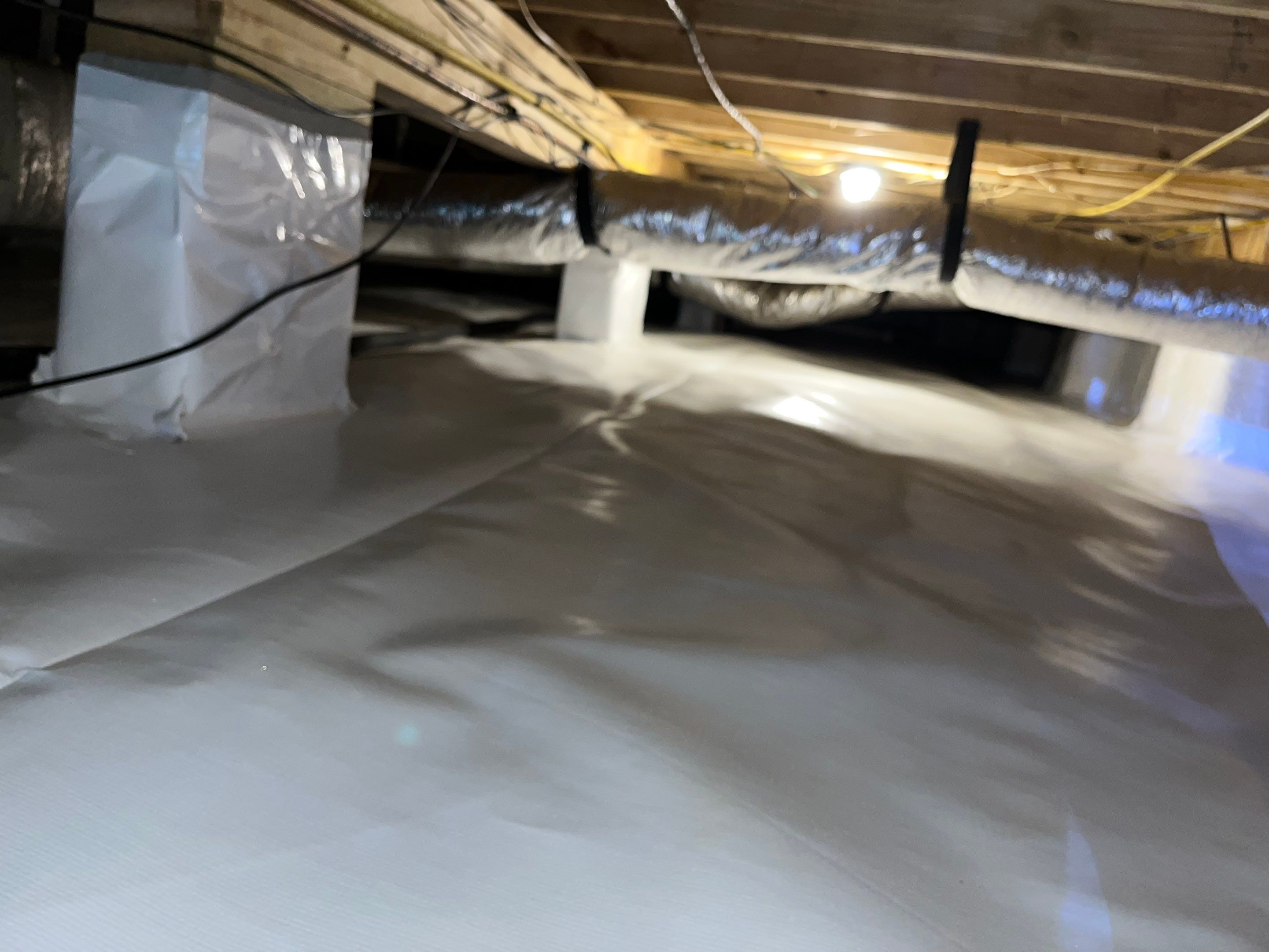 Impact Choice Encapsulation with French Drain, Mold Removal, and Crawlspace Door by Impact Crawlspace