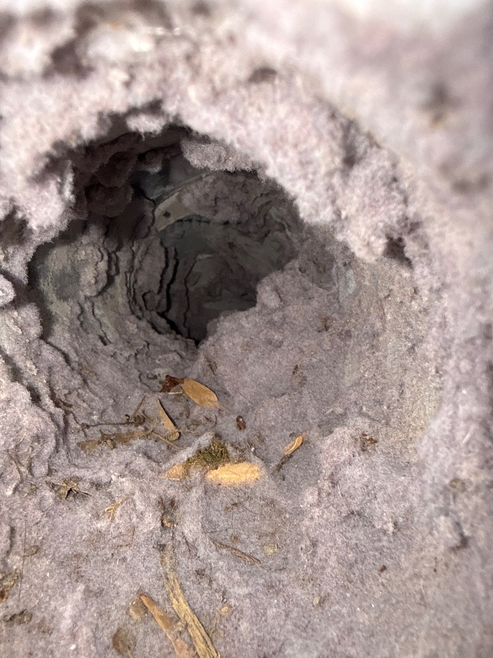 Dryer Vent Cleaning in Poland, OH by Superior Air Duct Cleaning