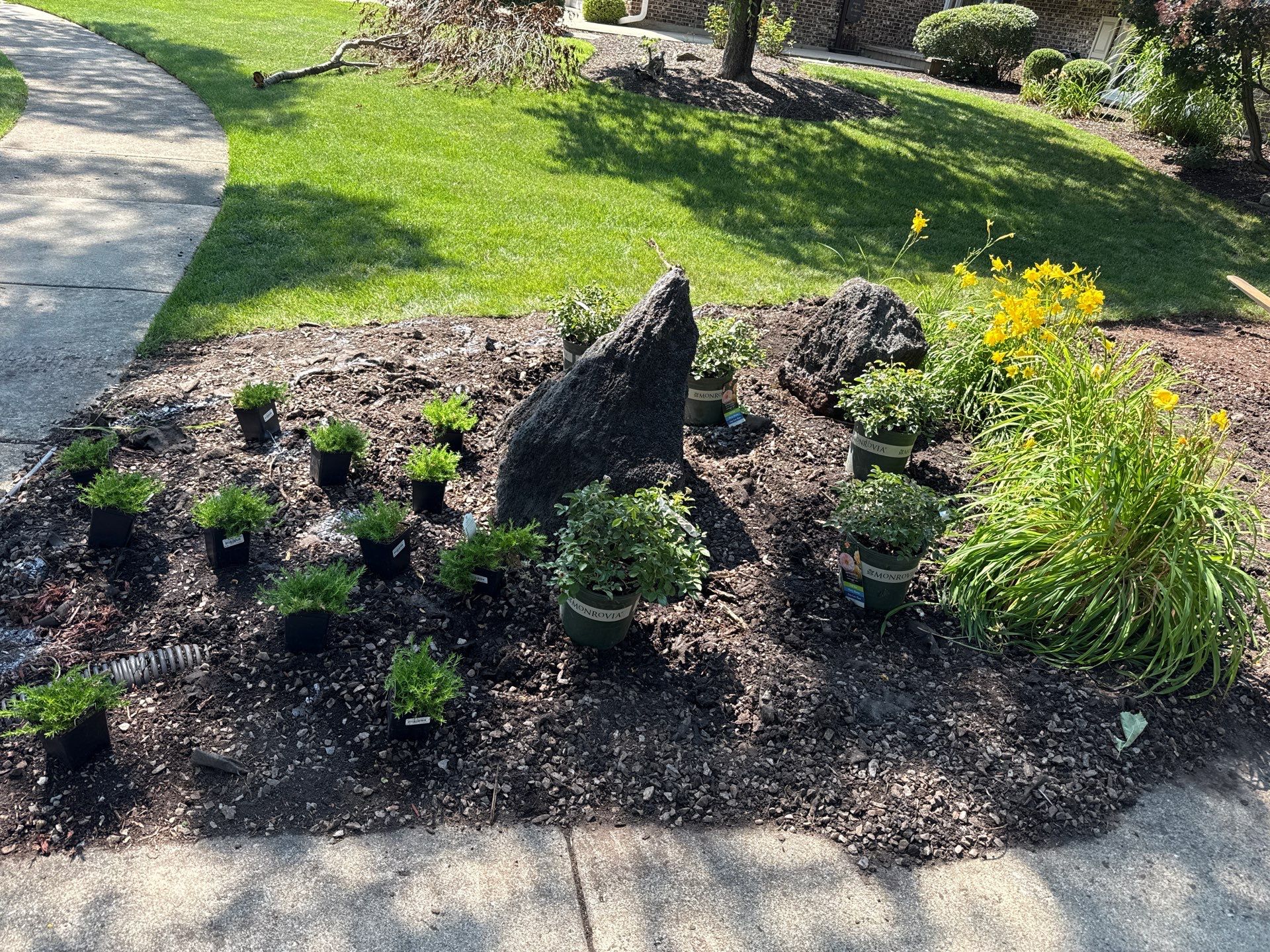 Mike & Diane L. - Arlington Heights, IL by A&N 