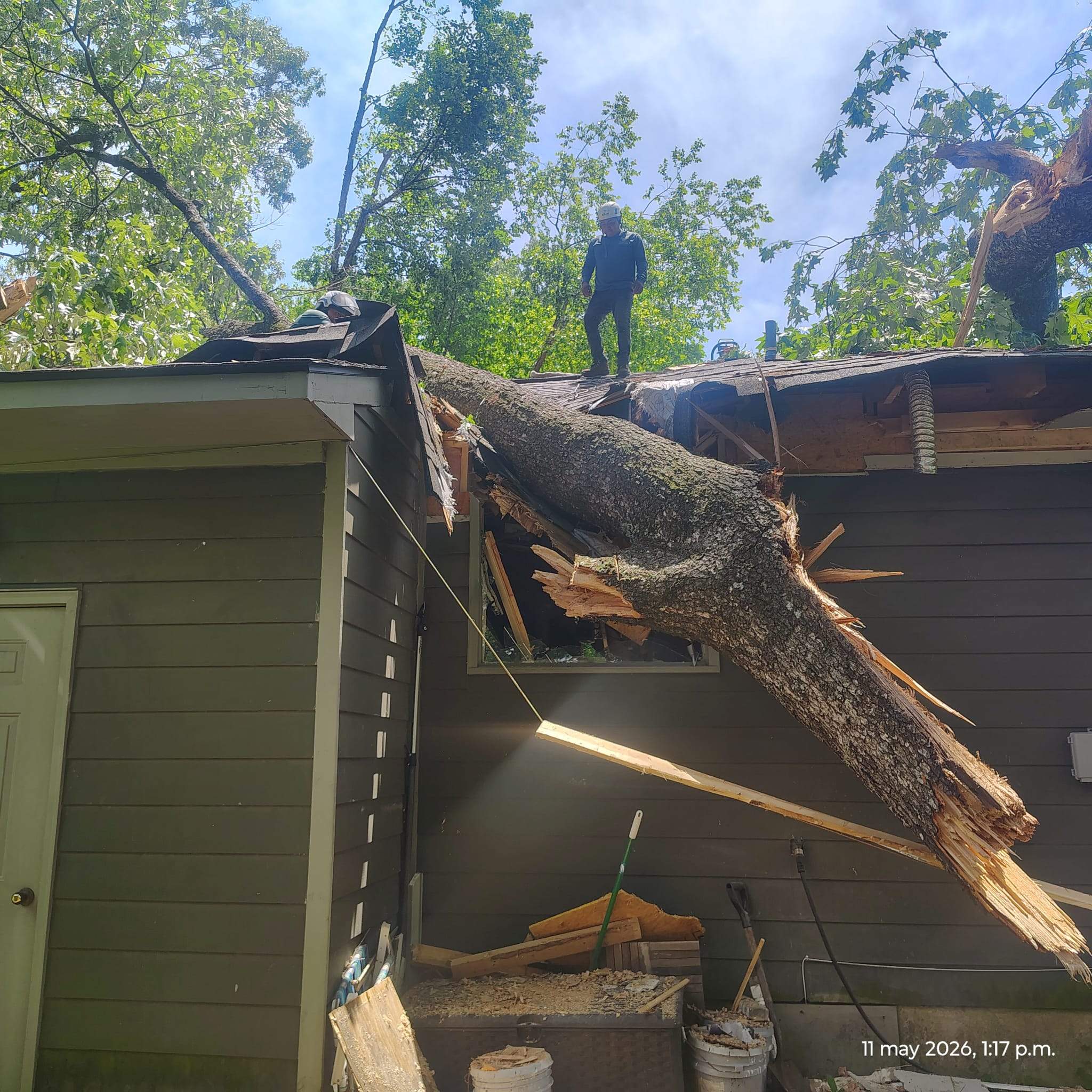 Tree Damage Restoration and Asphalt Shingle Roof Replacement in Memphis by Revival Roofing Services