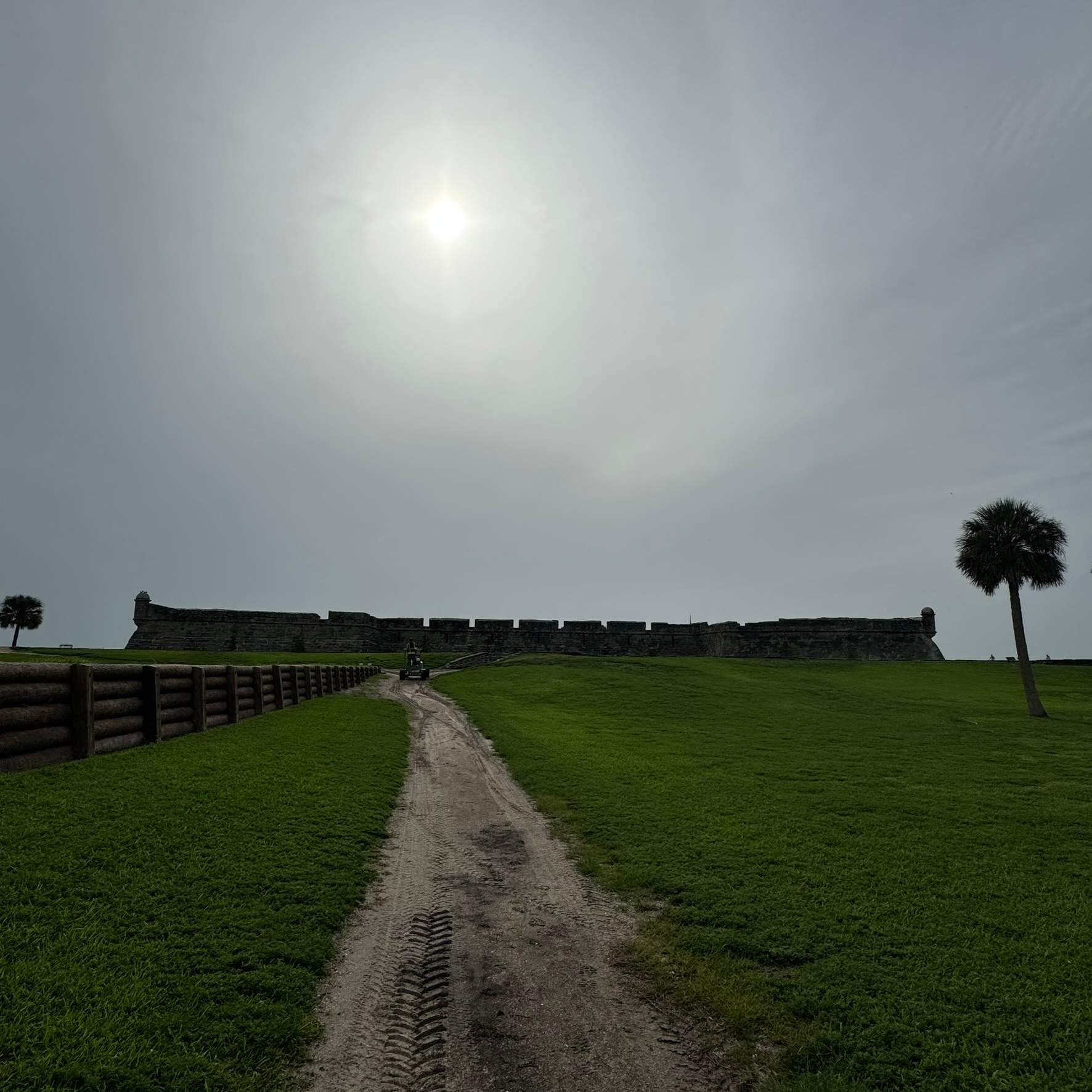 Tree Work | Castillo de San Marcos National Monument 2 by ProGreen Services